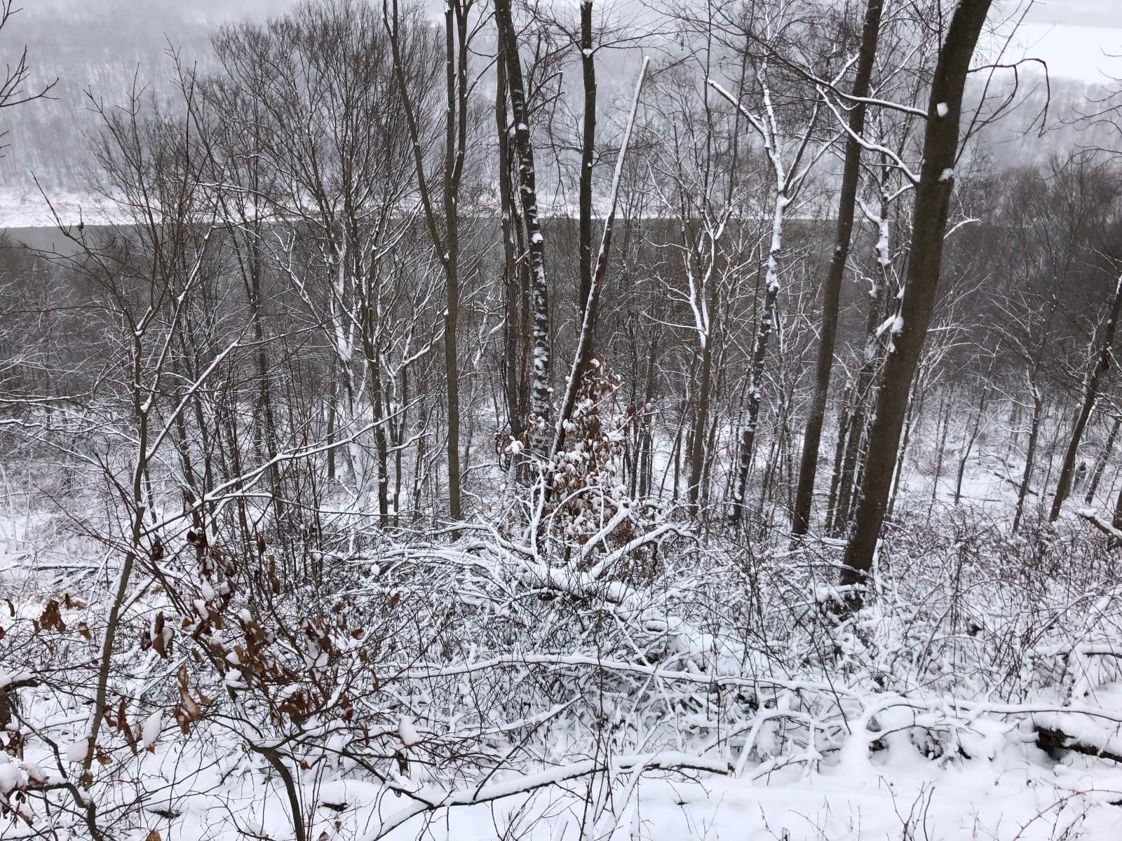 River Hills Above the Allegheny