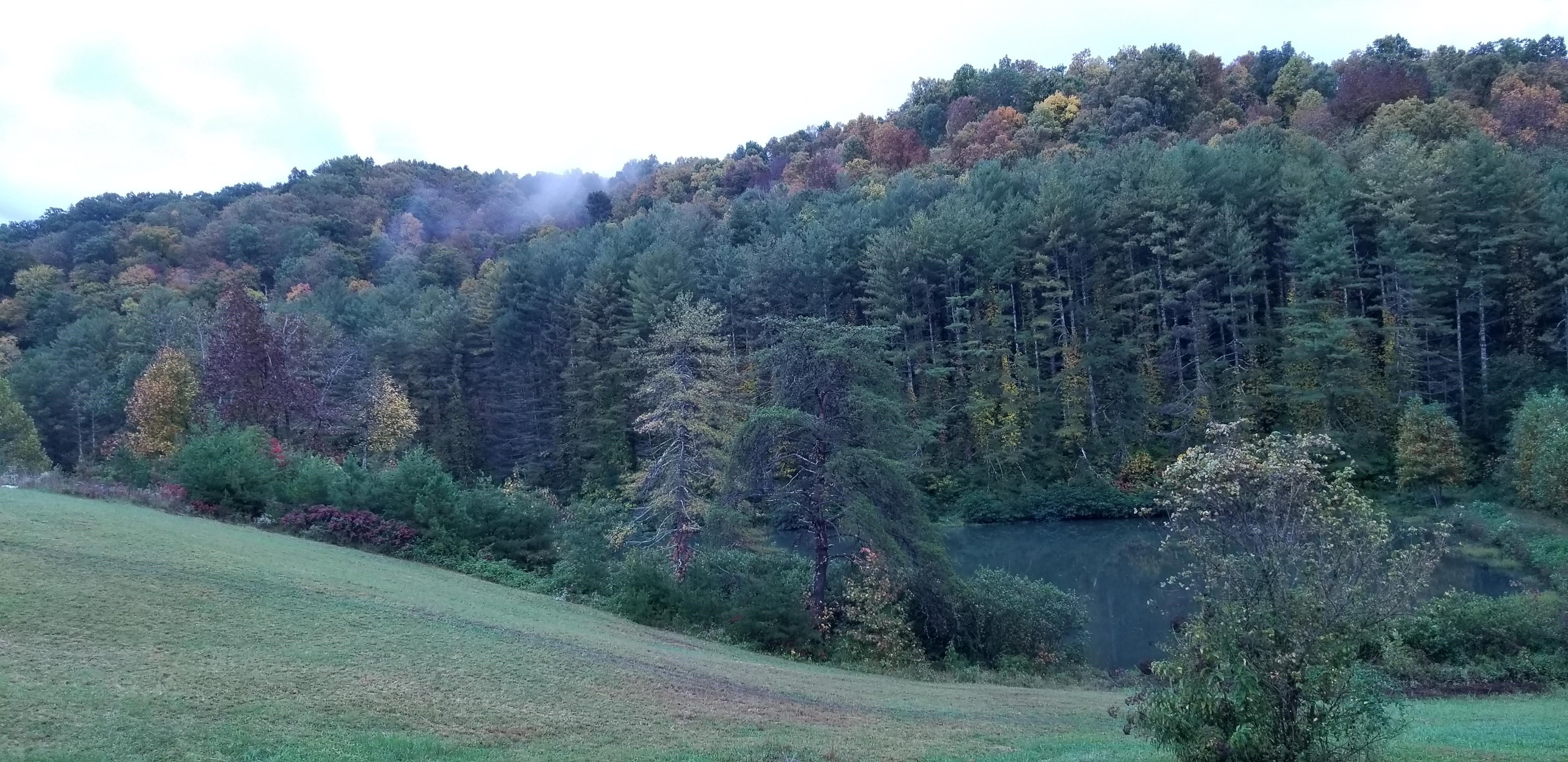 Cannon Lake Private Woodland
