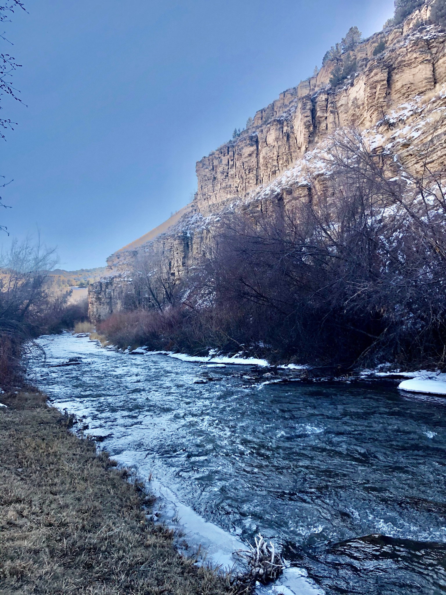 Your view right in front of your tent site. 
