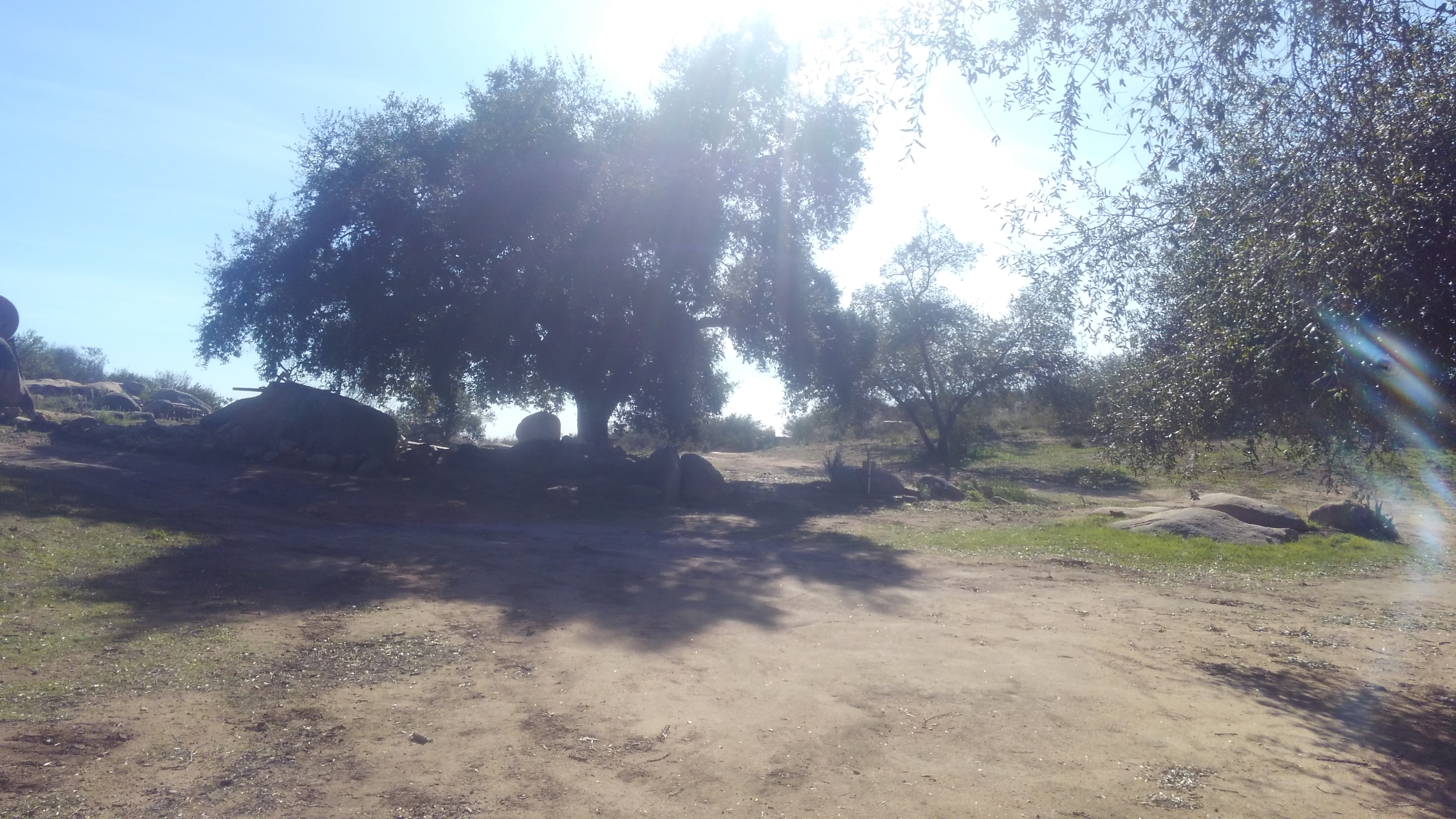 Thunder Oaks Ranch