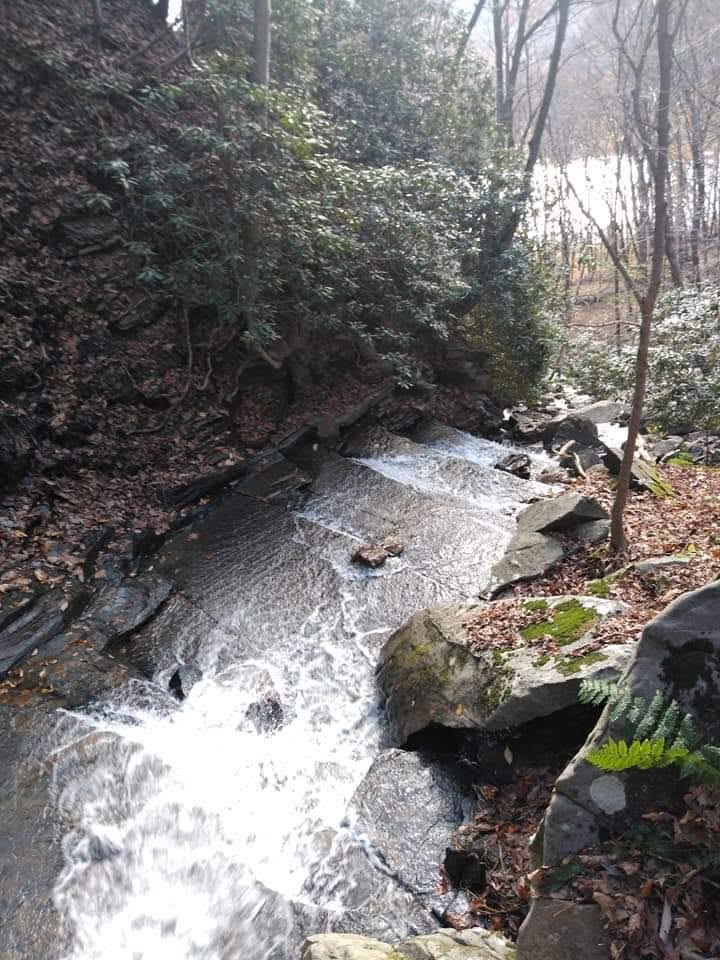 Mountain View Camping