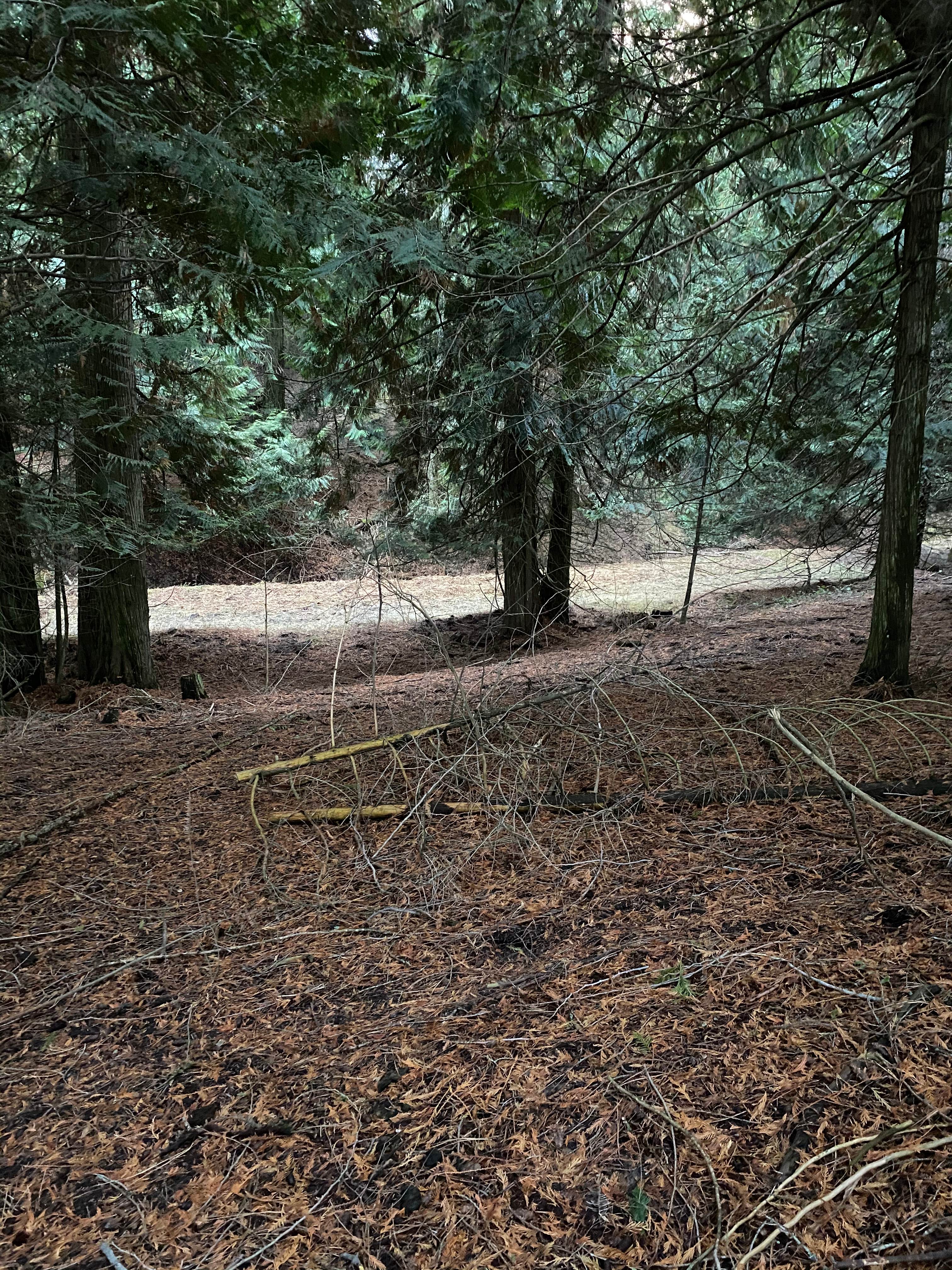 Hymas Family Farm Stay