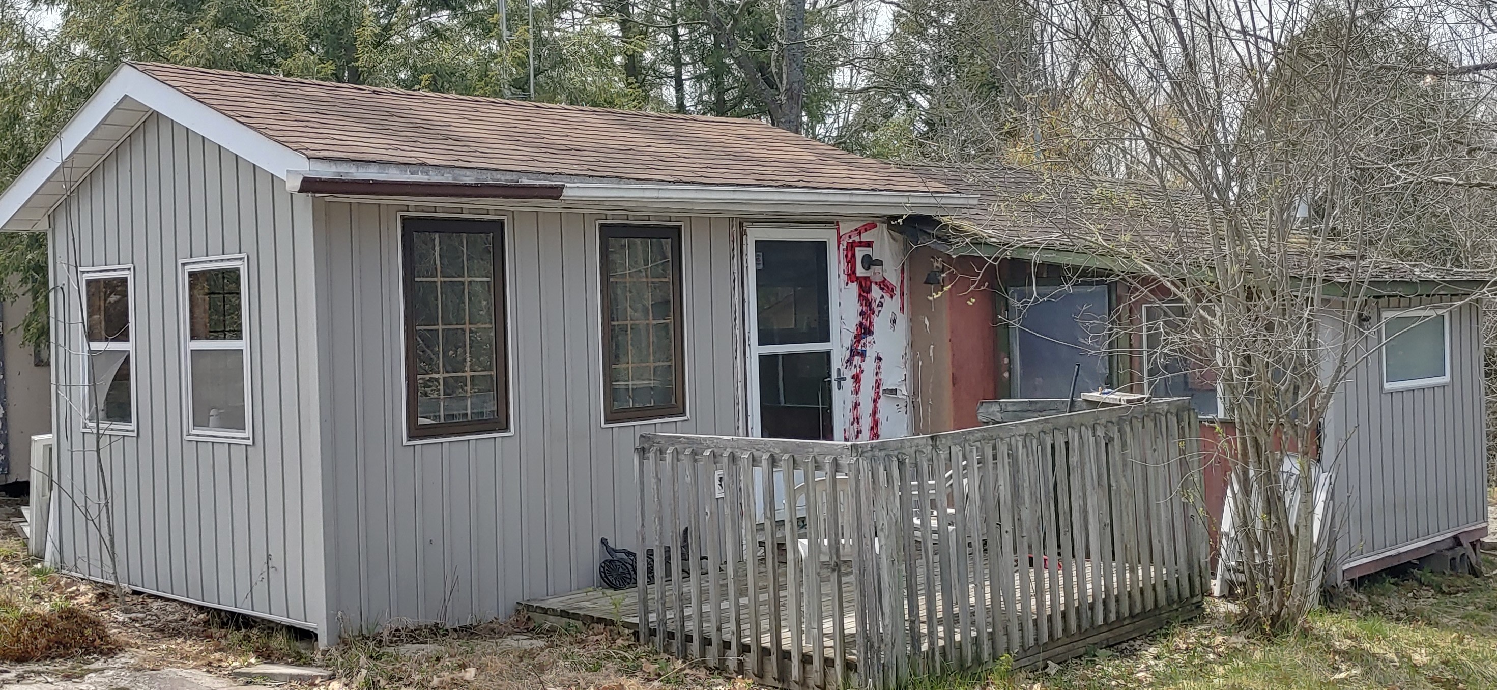 Solitary oasis on a rock