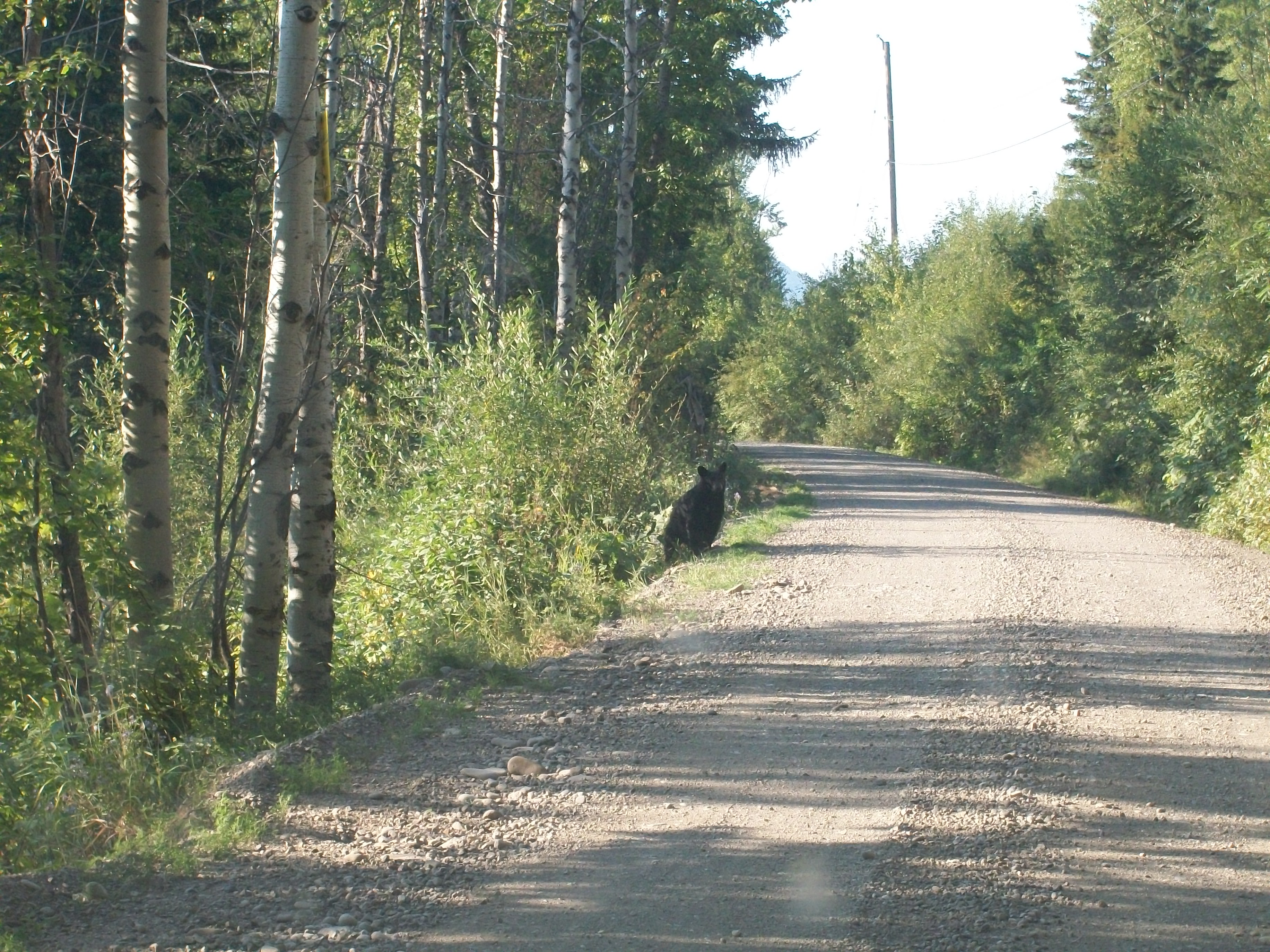 Backroads Terminal