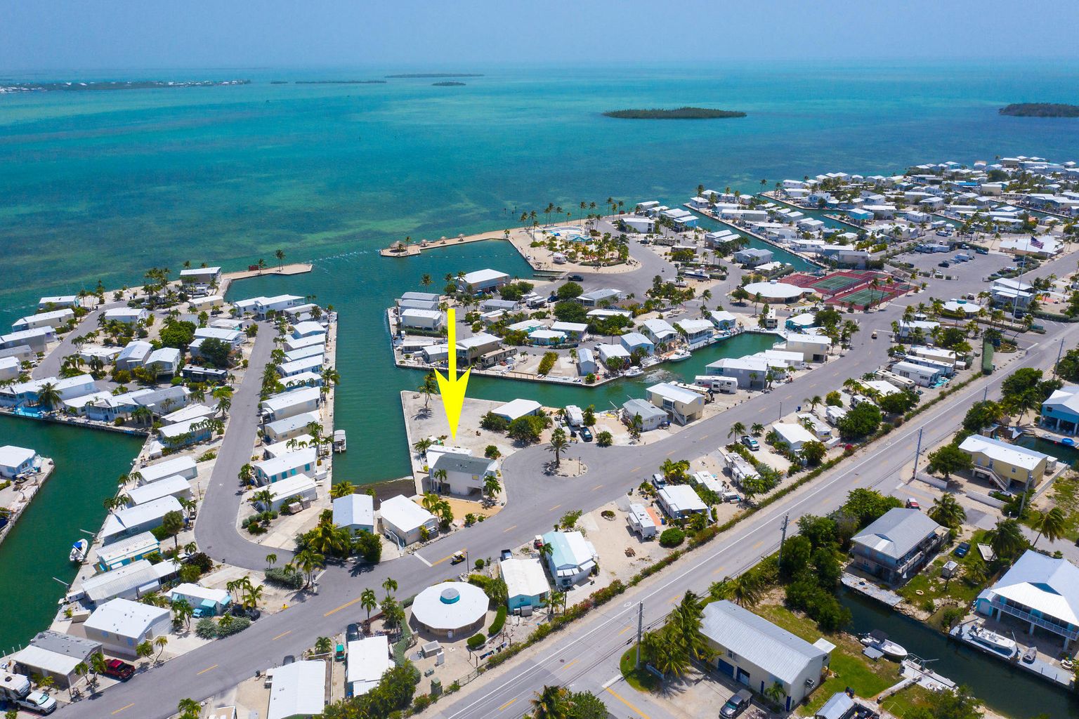 Little Palm By The Sea