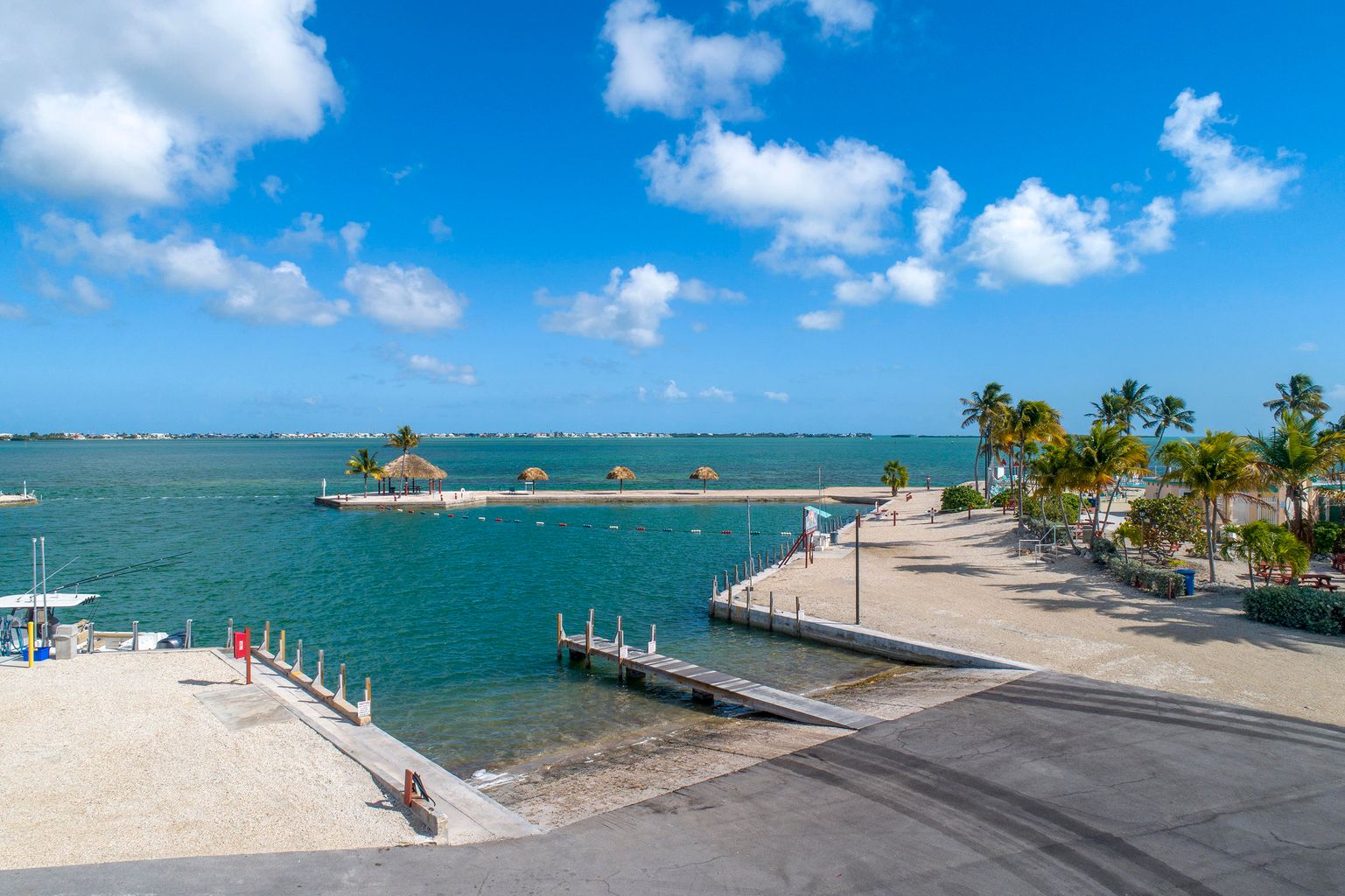 Little Palm By The Sea