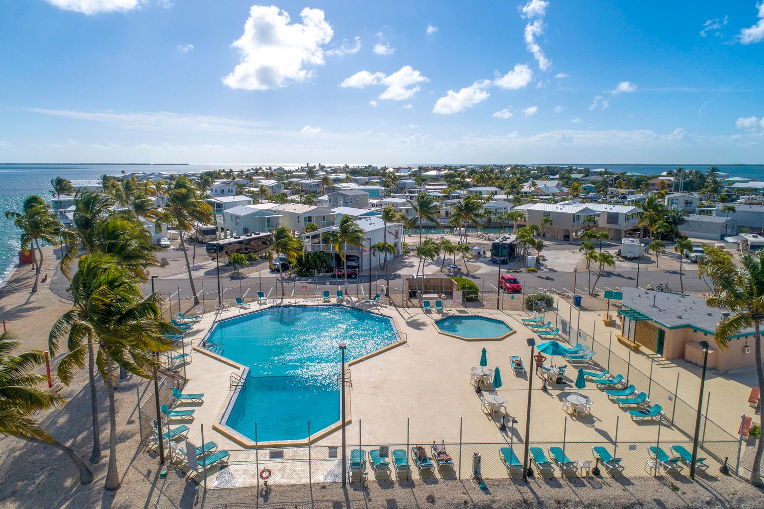 Little Palm By The Sea