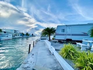 Little Palm By The Sea