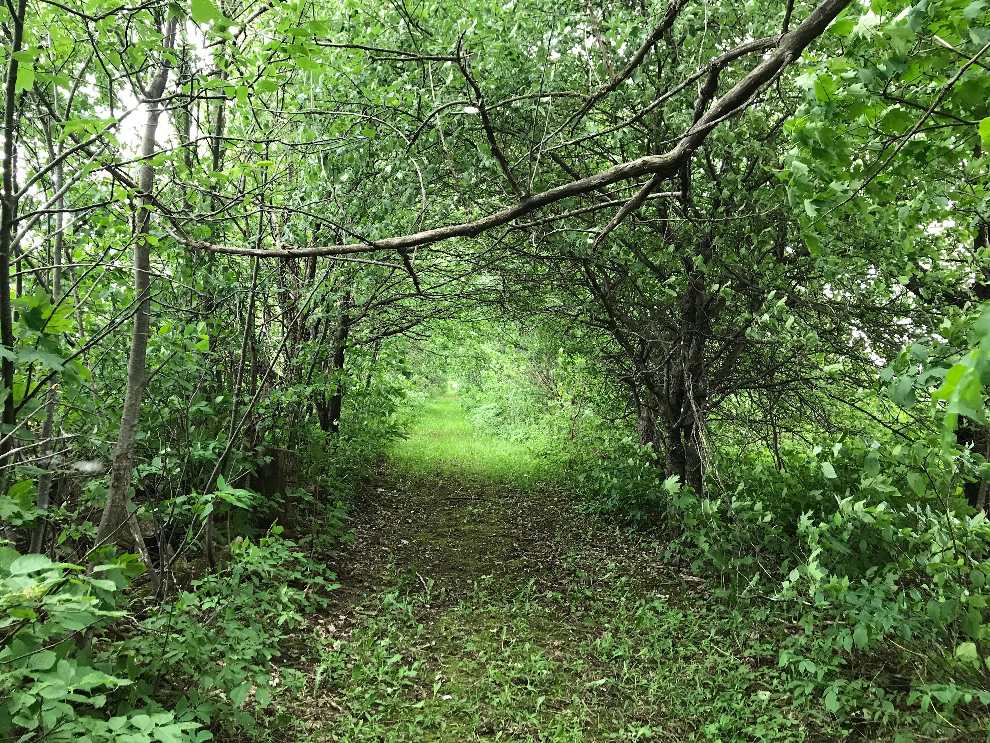 Farm Camping by Pond Melancthon, ON