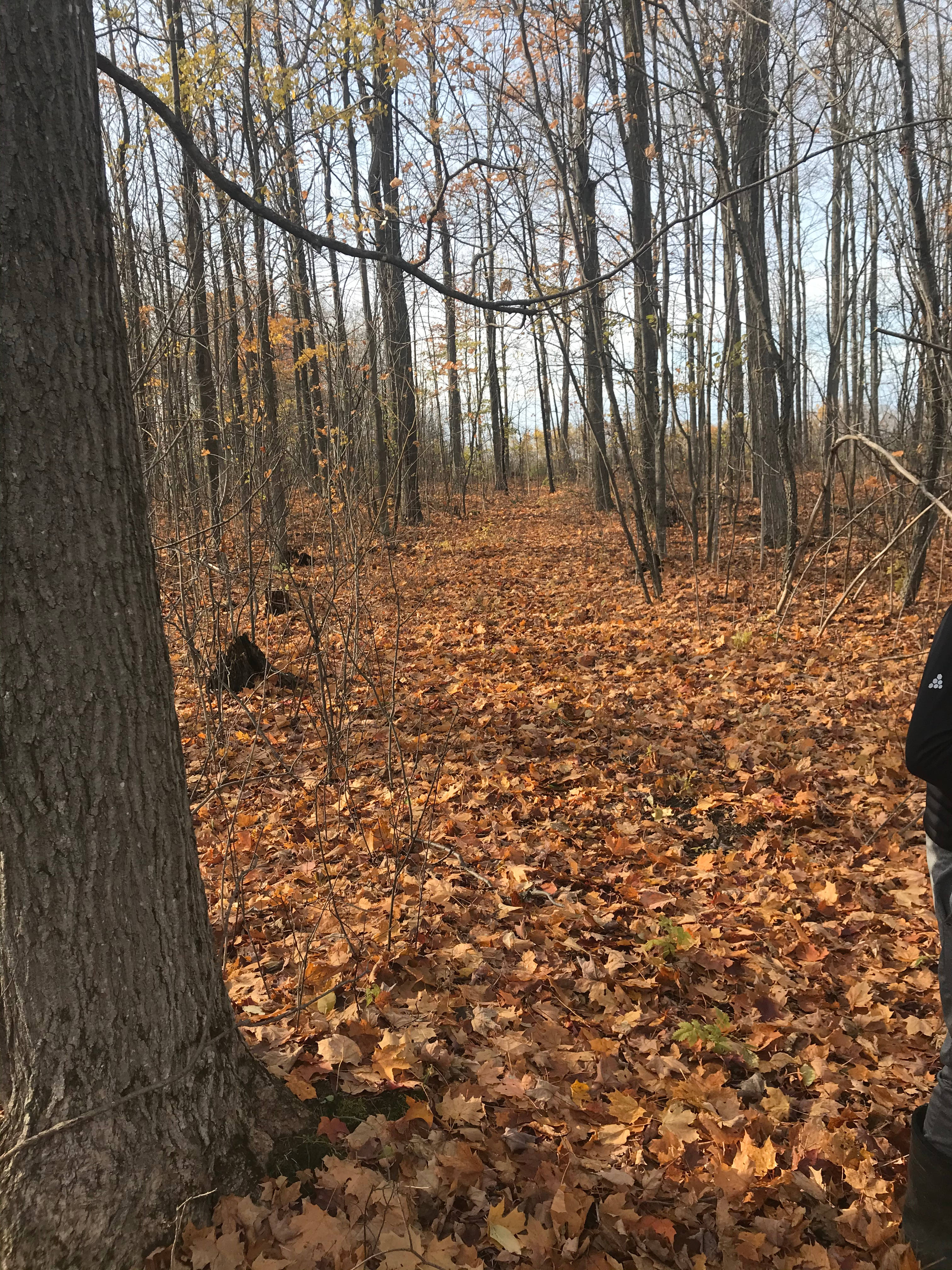 Farm Camping by Pond Melancthon, ON