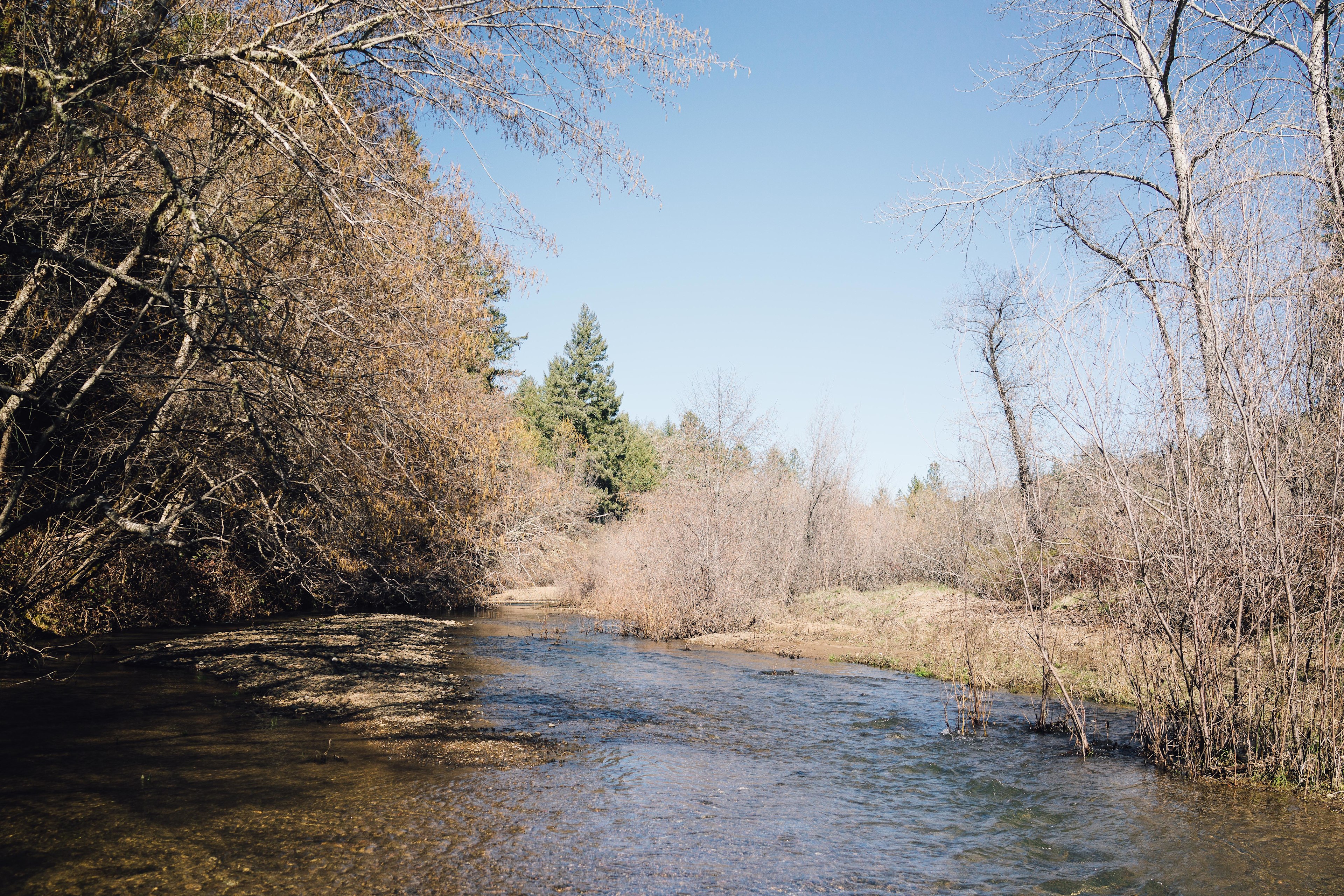 Creek views