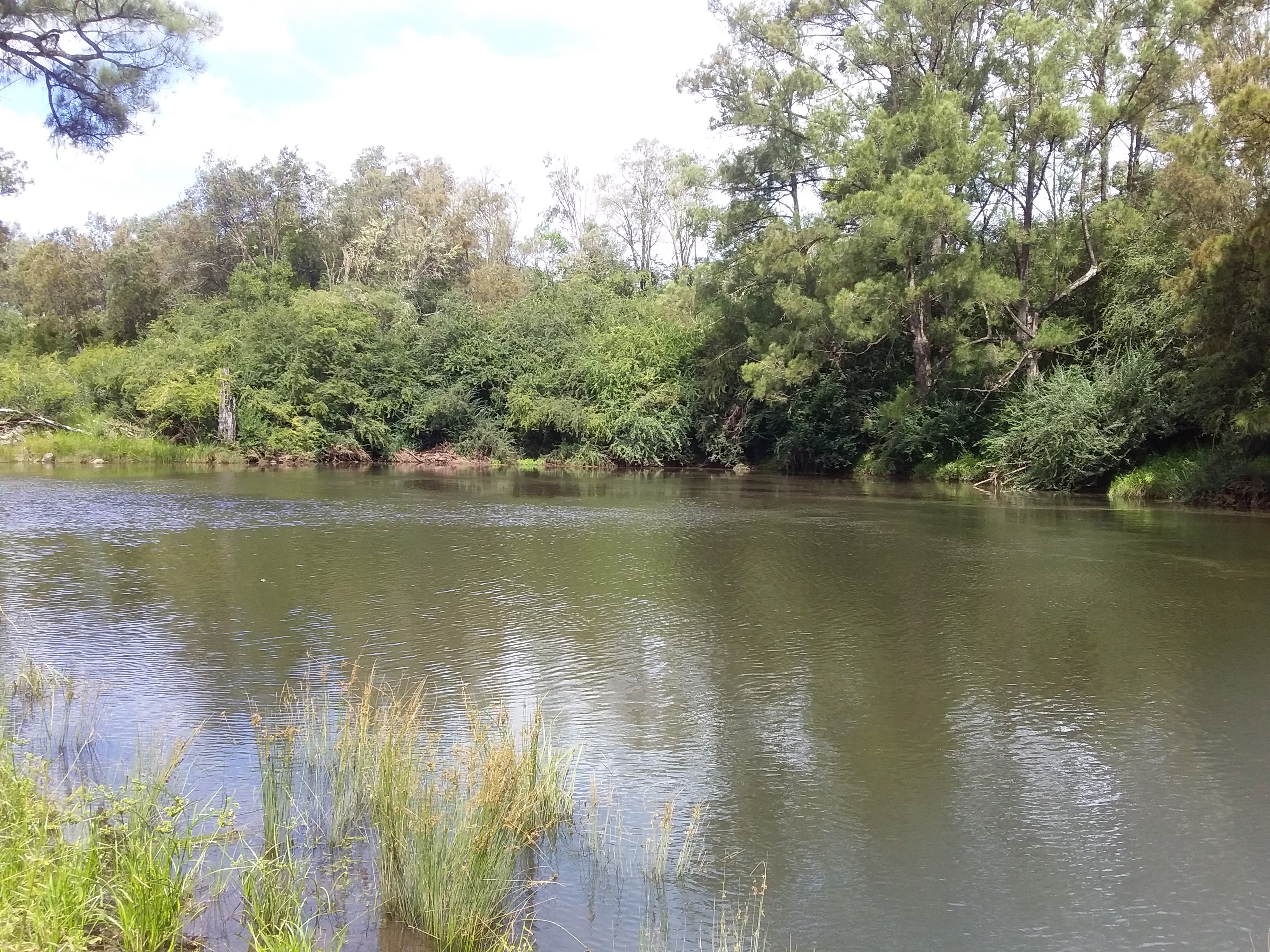 Wild Nymboida Camping Dorrigo