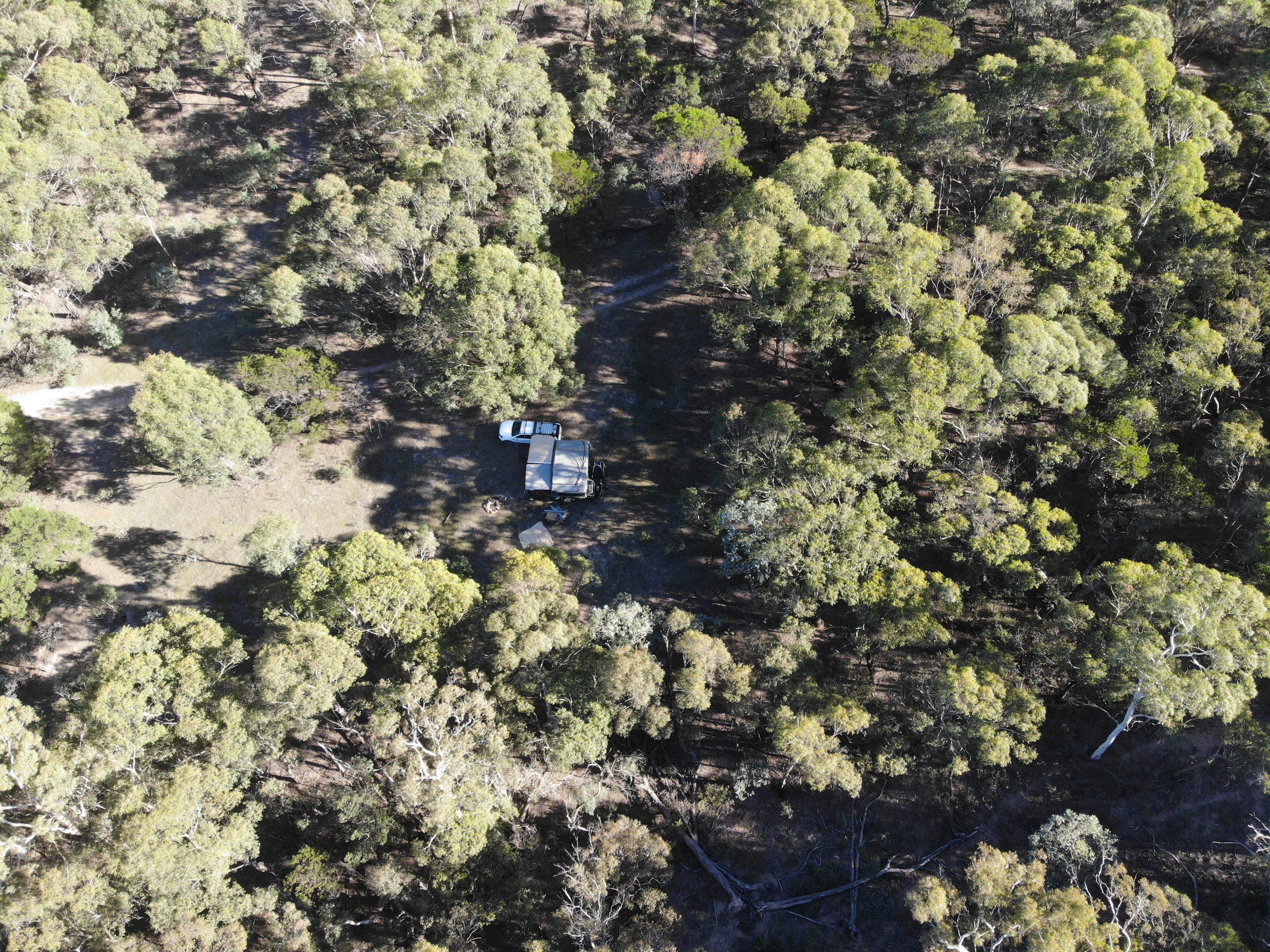 A drone's view of campers at Woodlands 1  