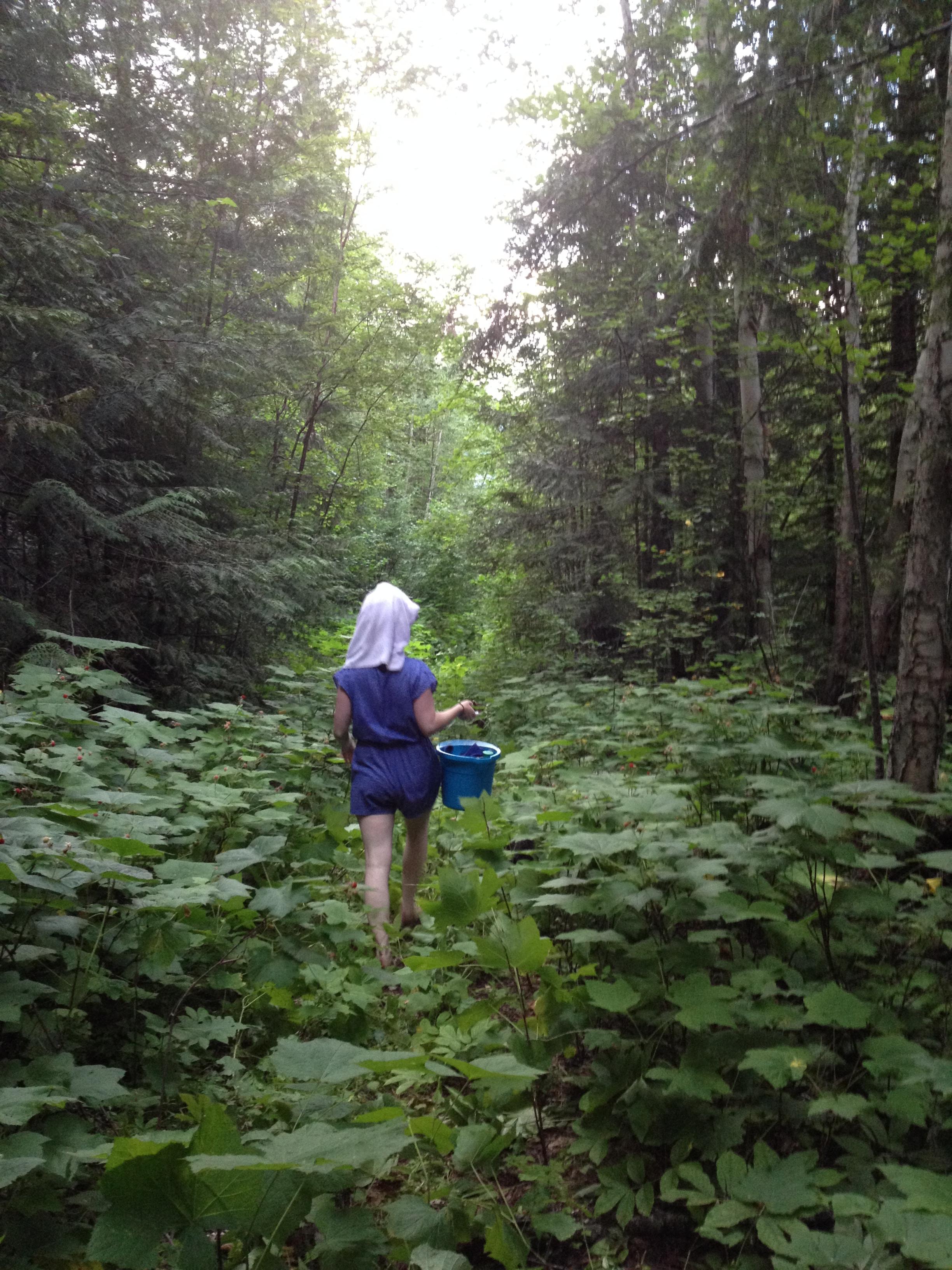Tent Forest Campsite #1