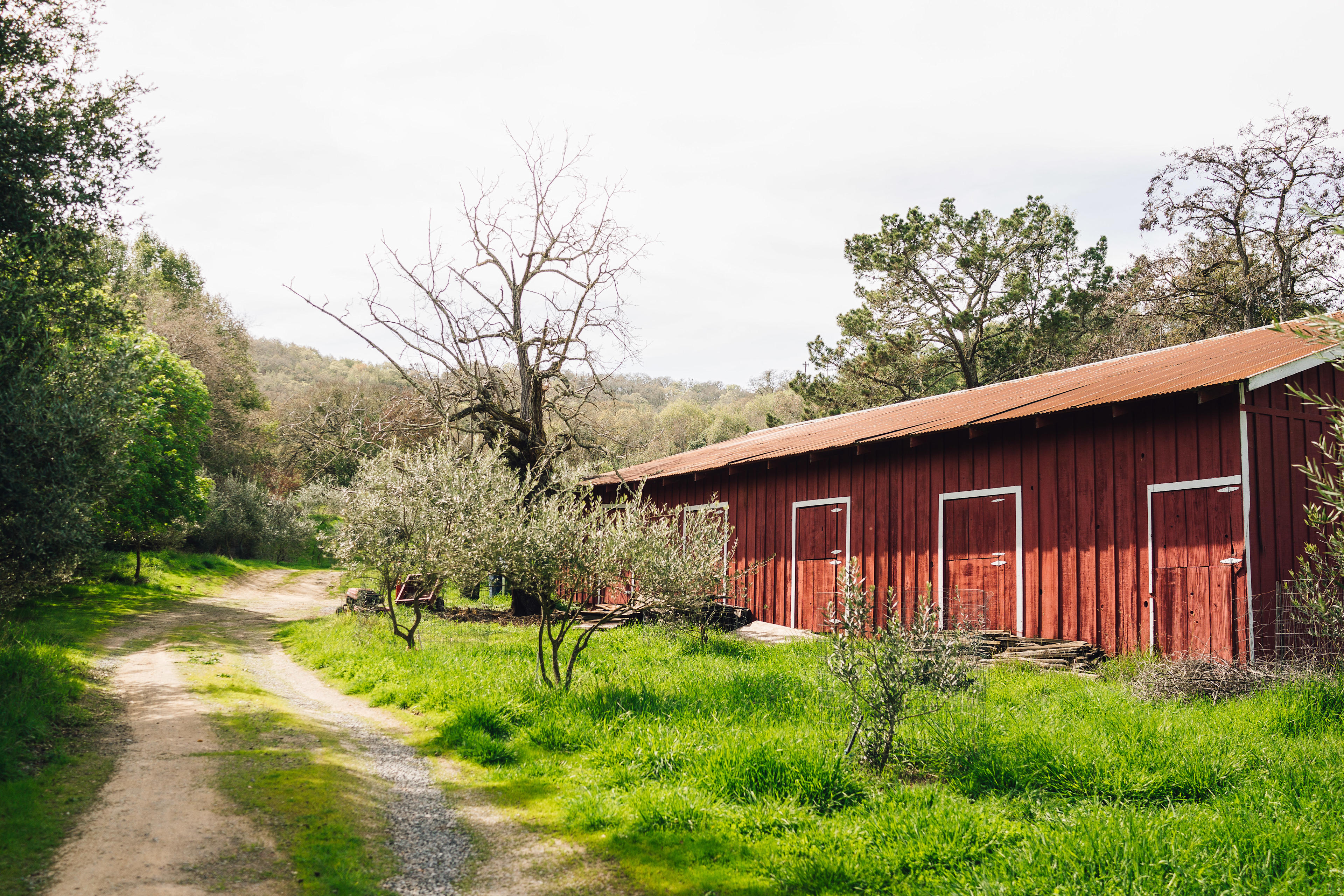 The barn that welcomes you