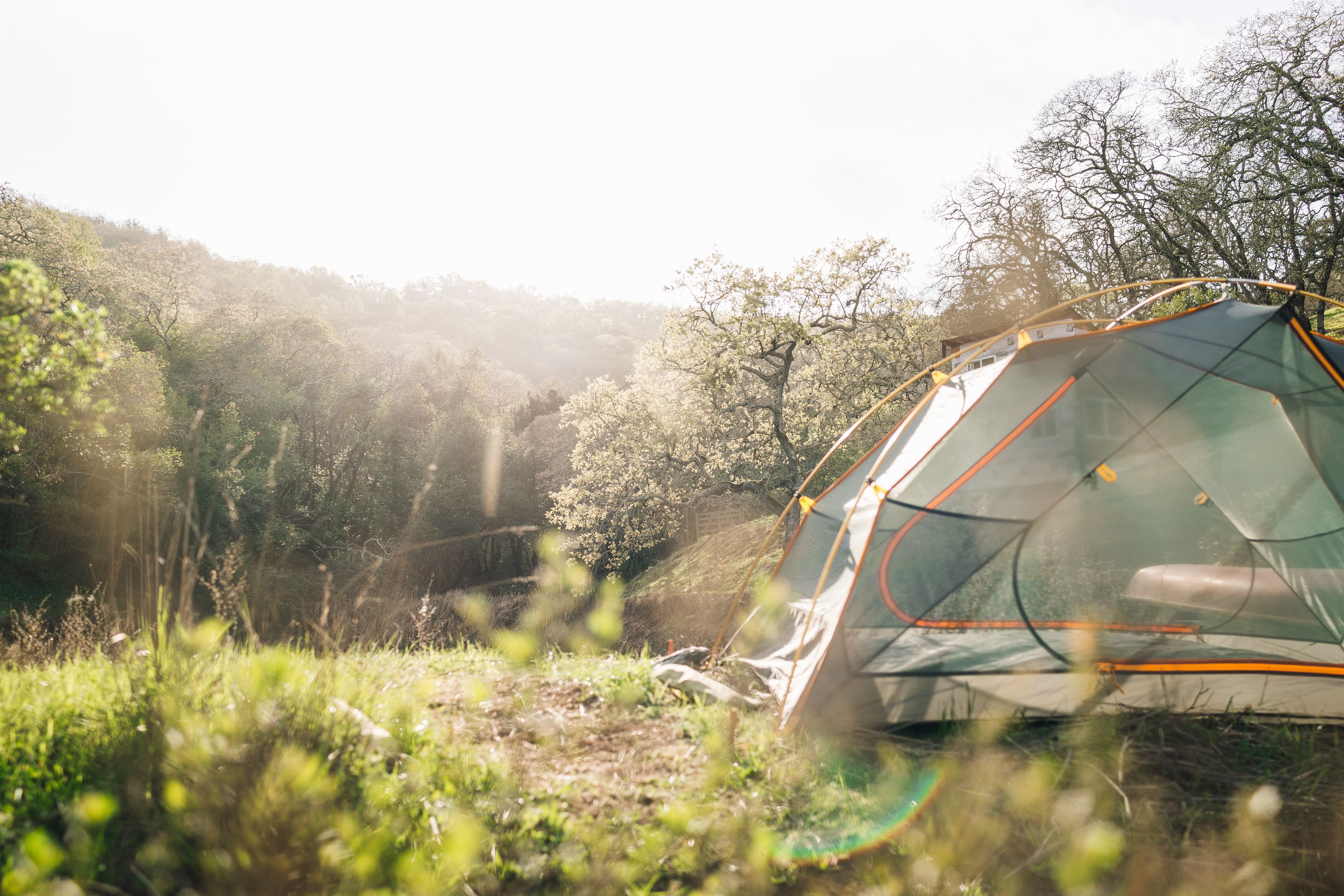 If you want morning & late afternoon light away from the camp overlooking the pond, this spot wasn't too bad.