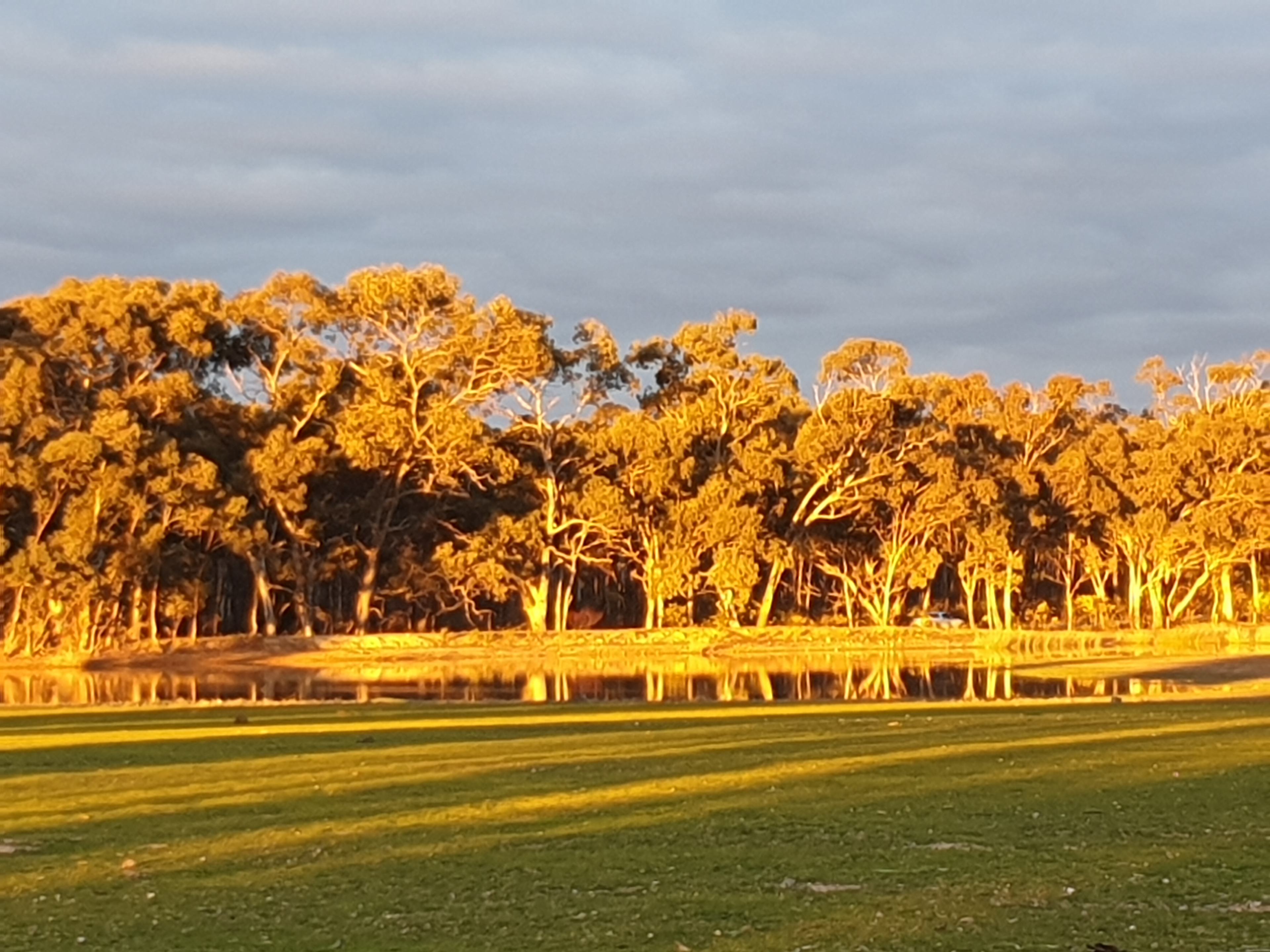 Somerville Park   (Bendigo)