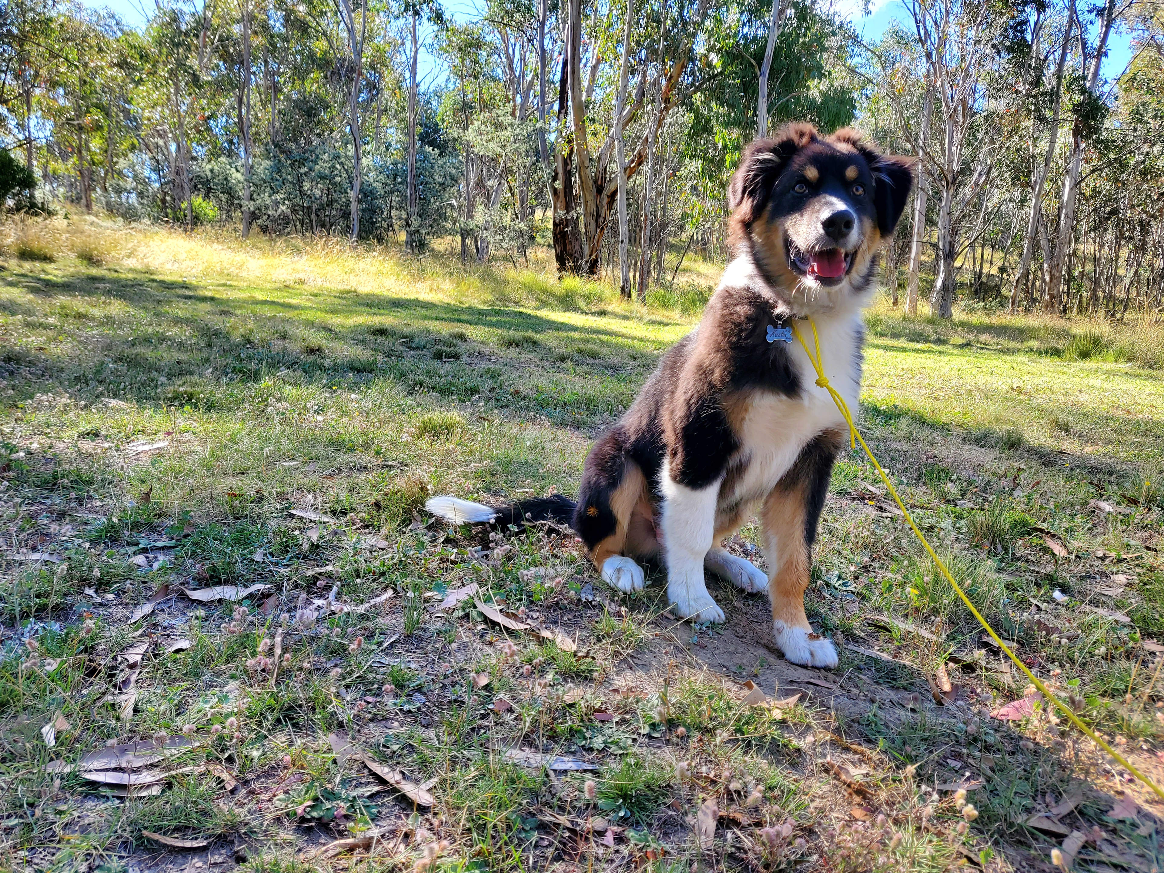 From an earlier trip there at the 'civilisation' site.