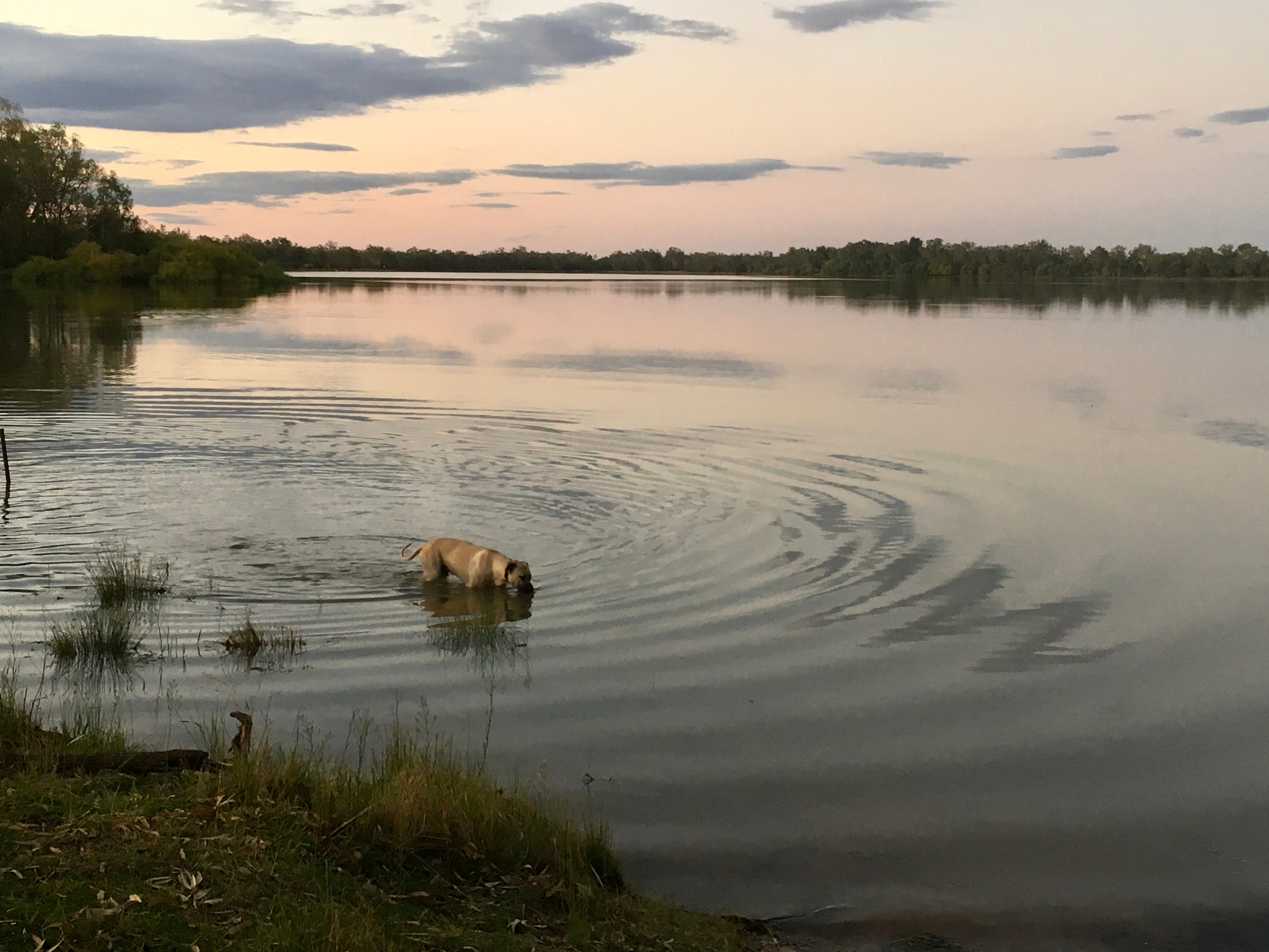 Curlew Camp - Birds & Fishing