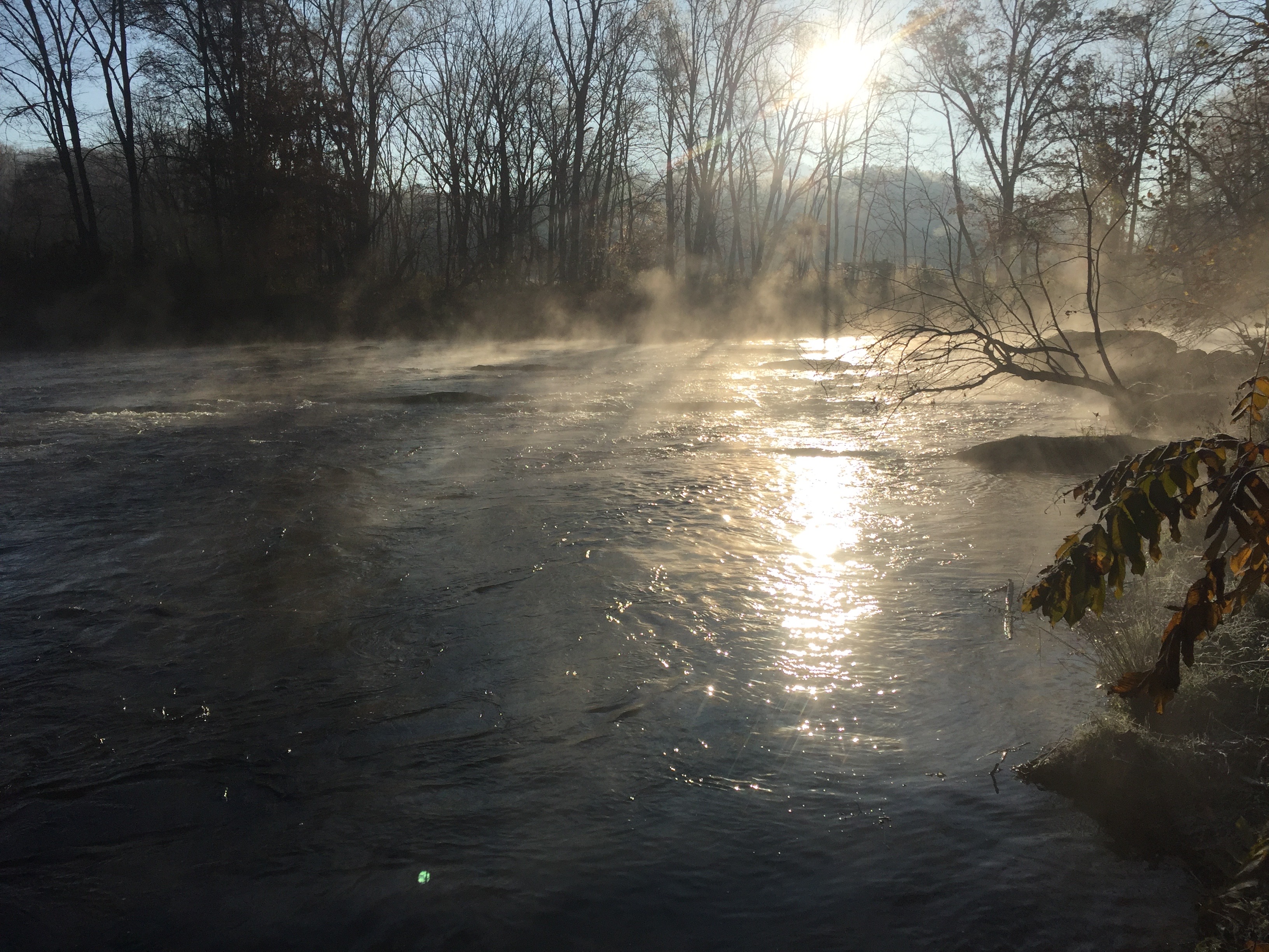 Smoky Mtn Mangalitsa River Ranch