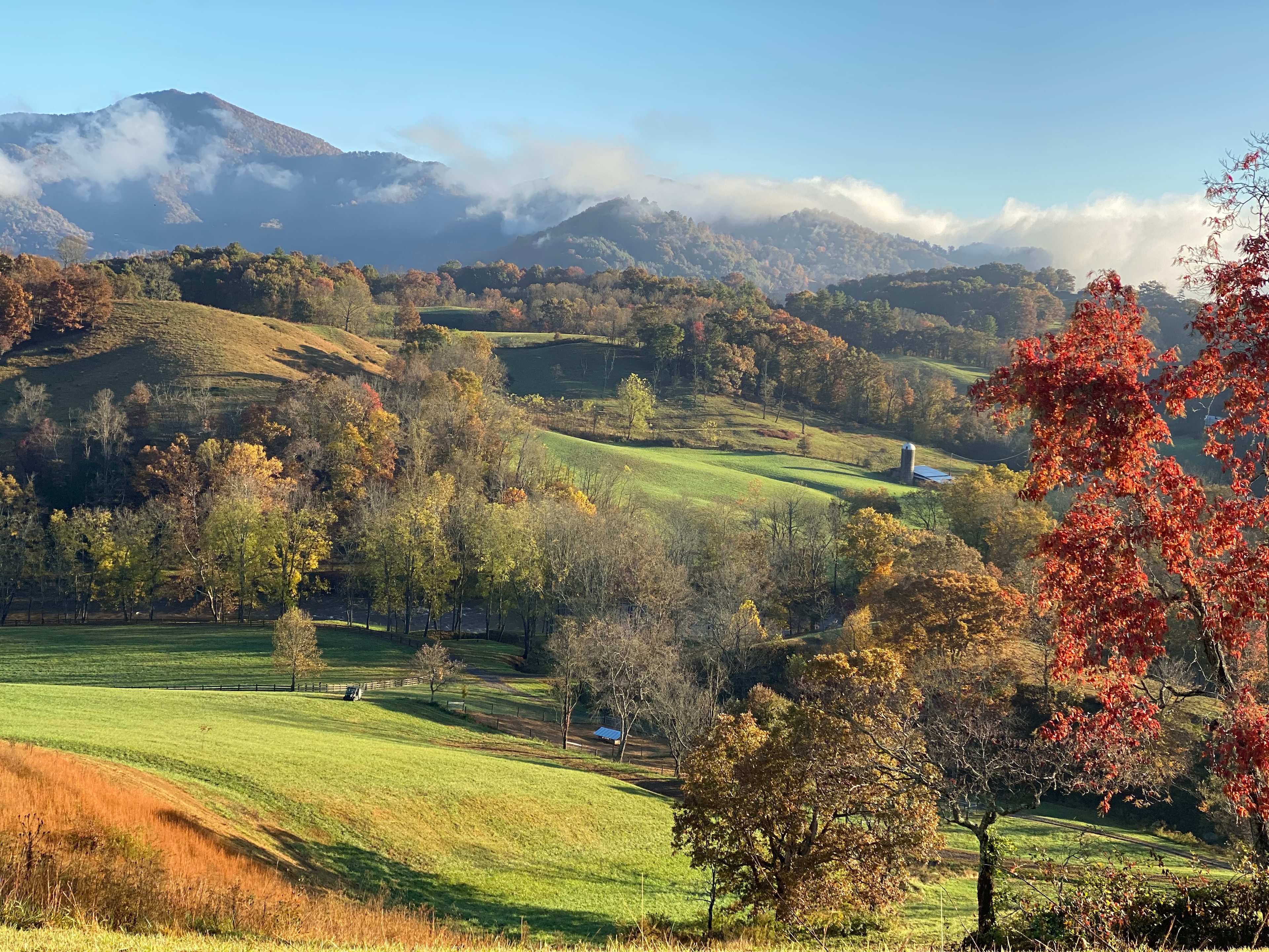 Smoky Mtn Mangalitsa River Ranch