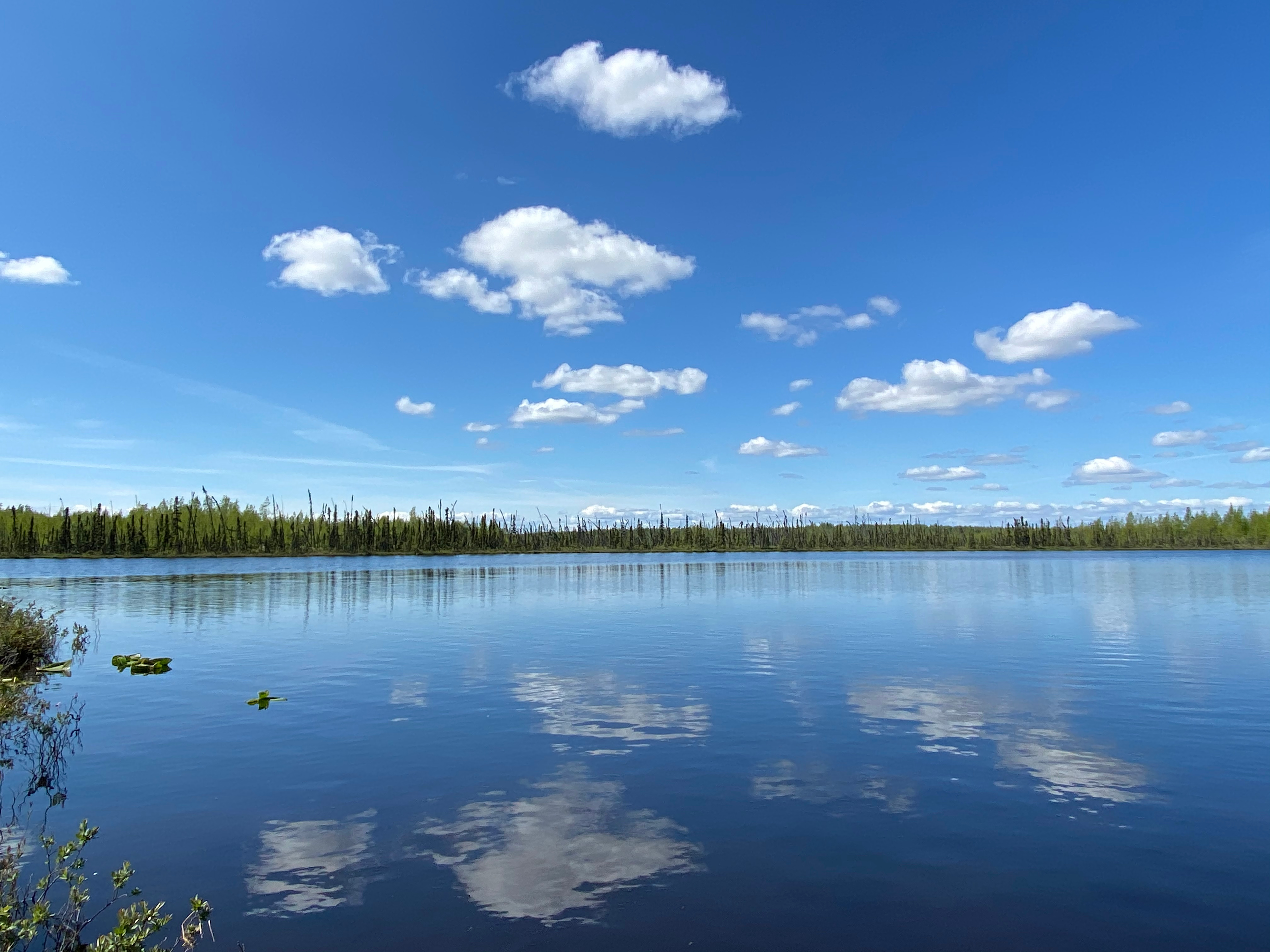 Alaskan wilderness campsite