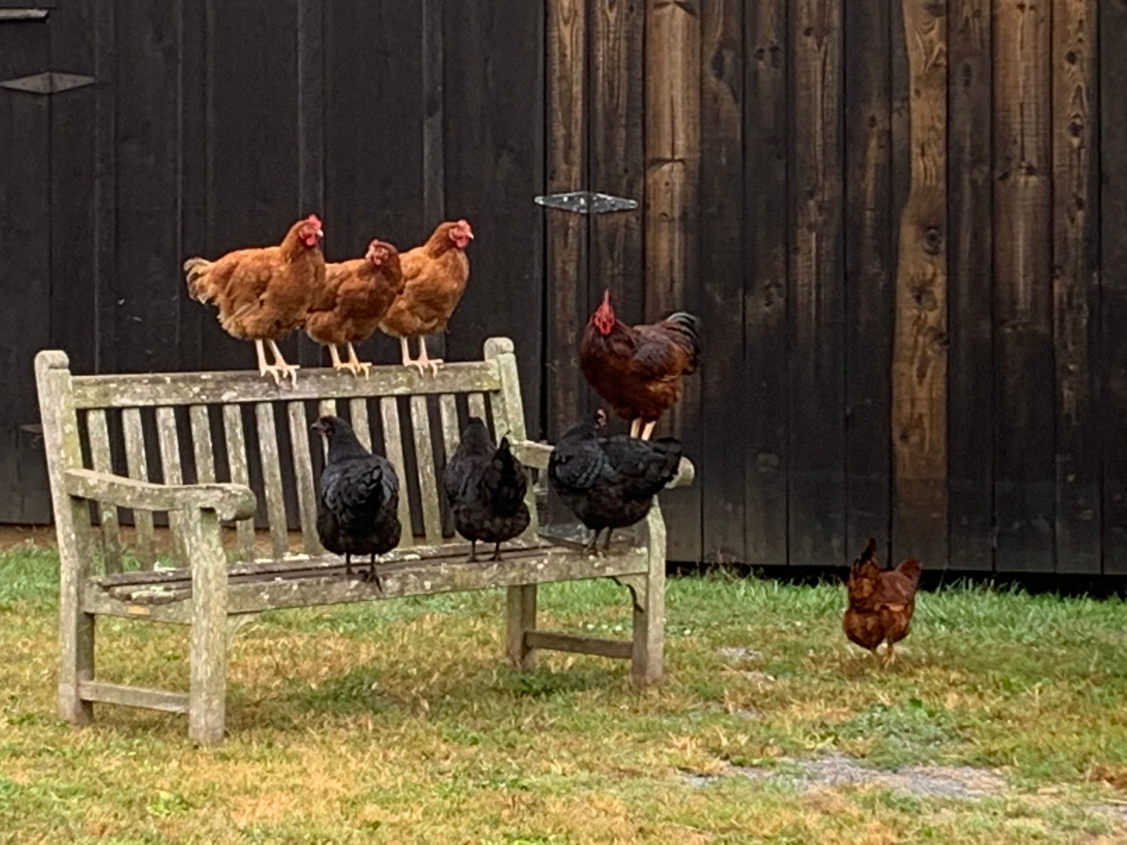 B and M Journey Farm