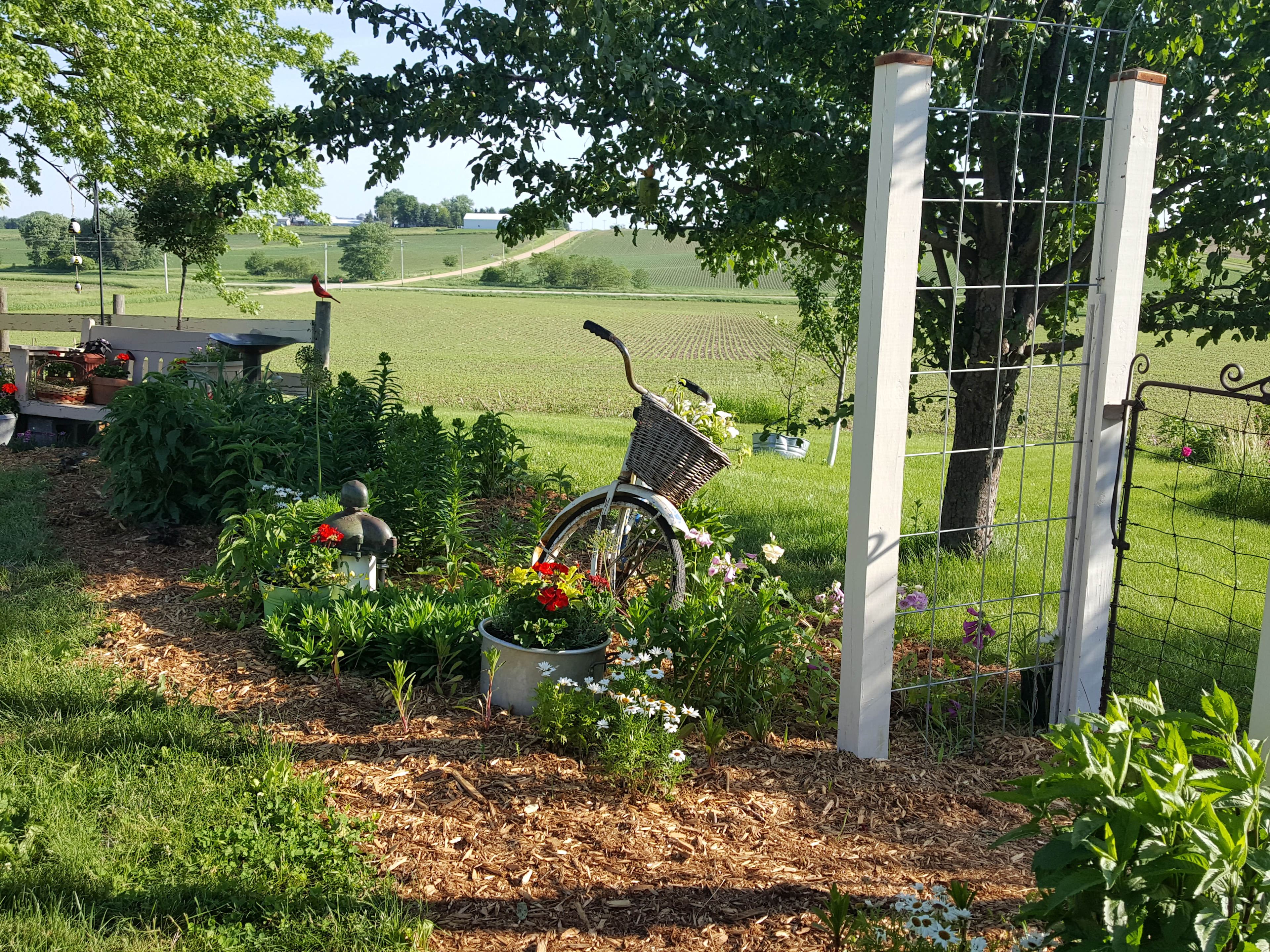 Miss Effie's Country Flowers