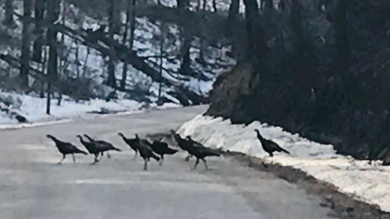 Locals 
