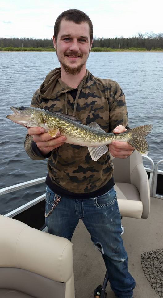 My Lake Home and Tree House