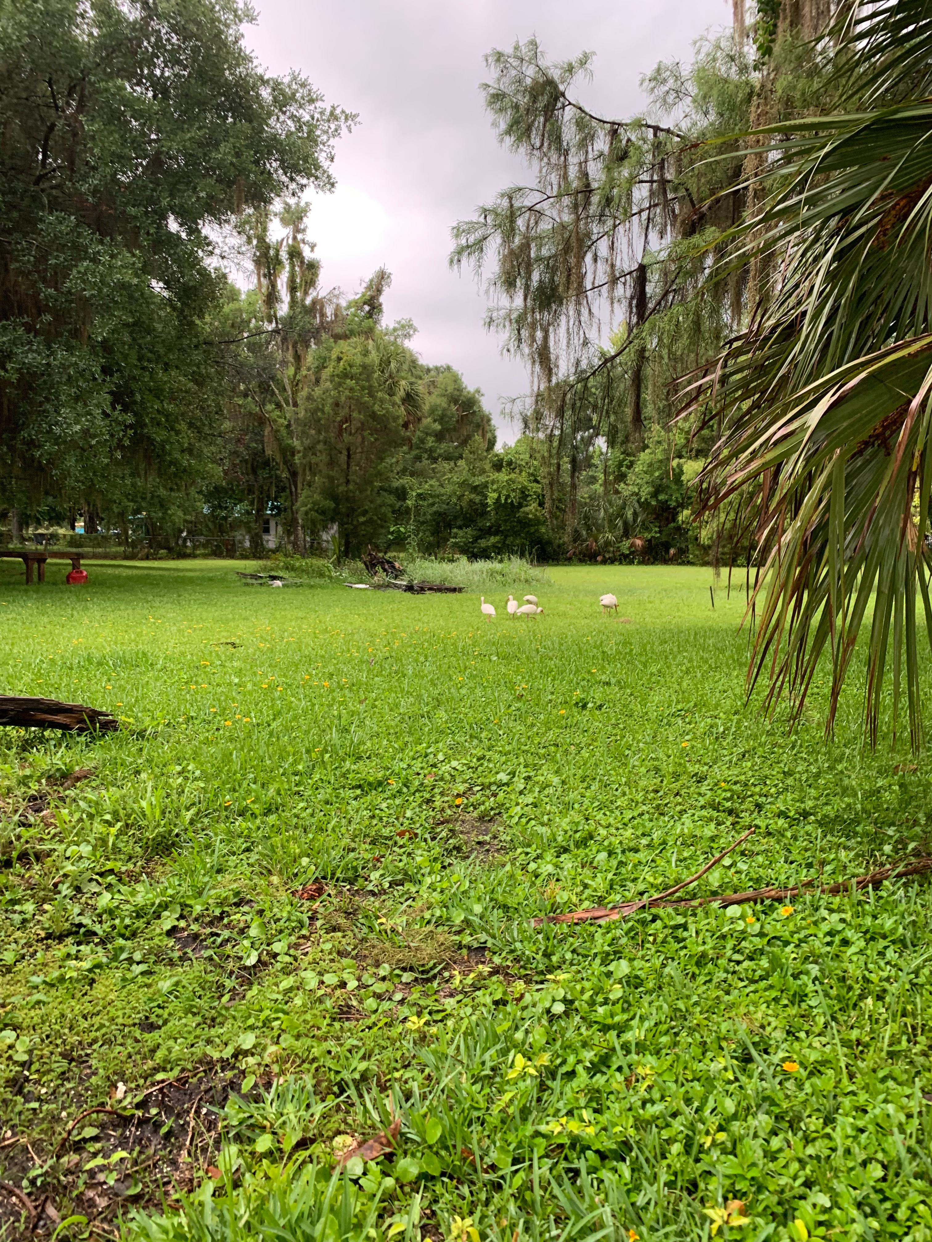 Paradise Lake  Rousseau ,Fl
