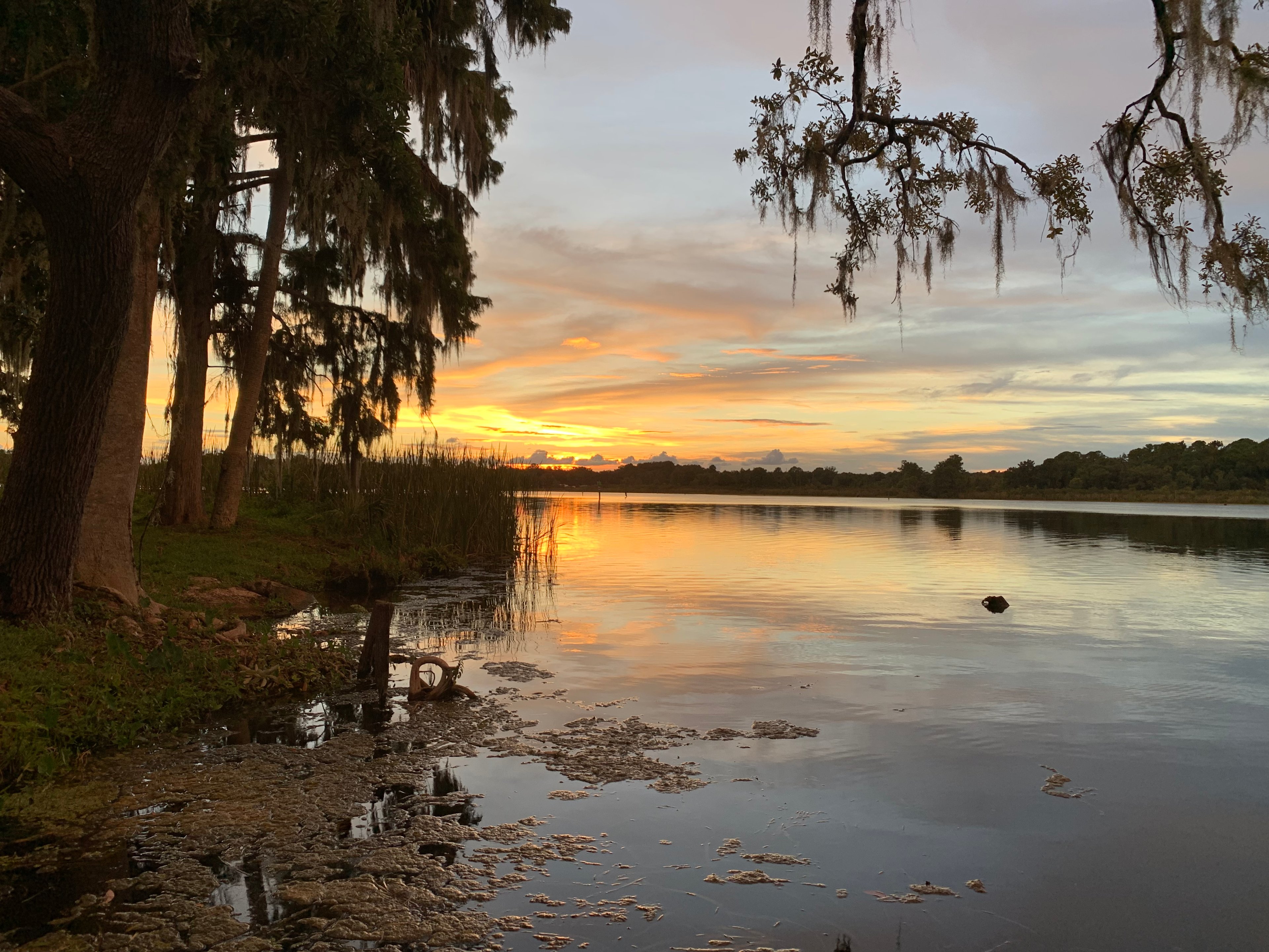 Paradise Lake  Rousseau ,Fl