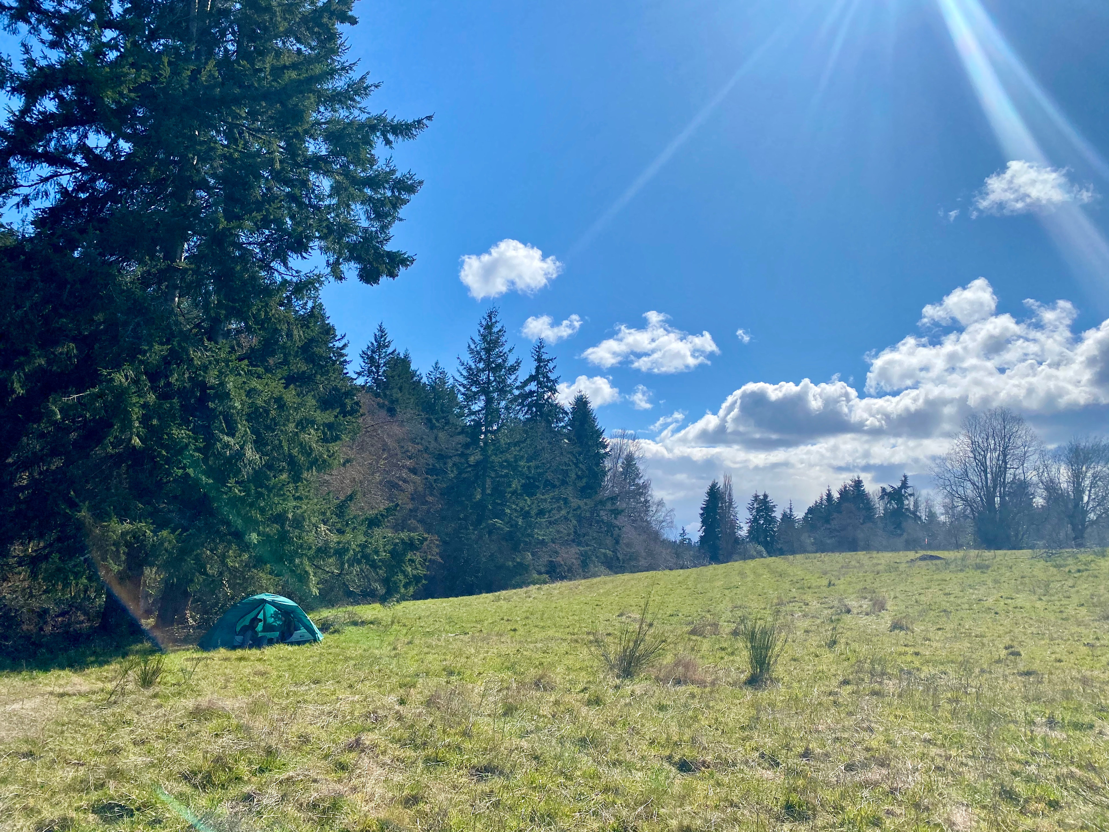 Sweet Alyssum Farm - Tent Camping