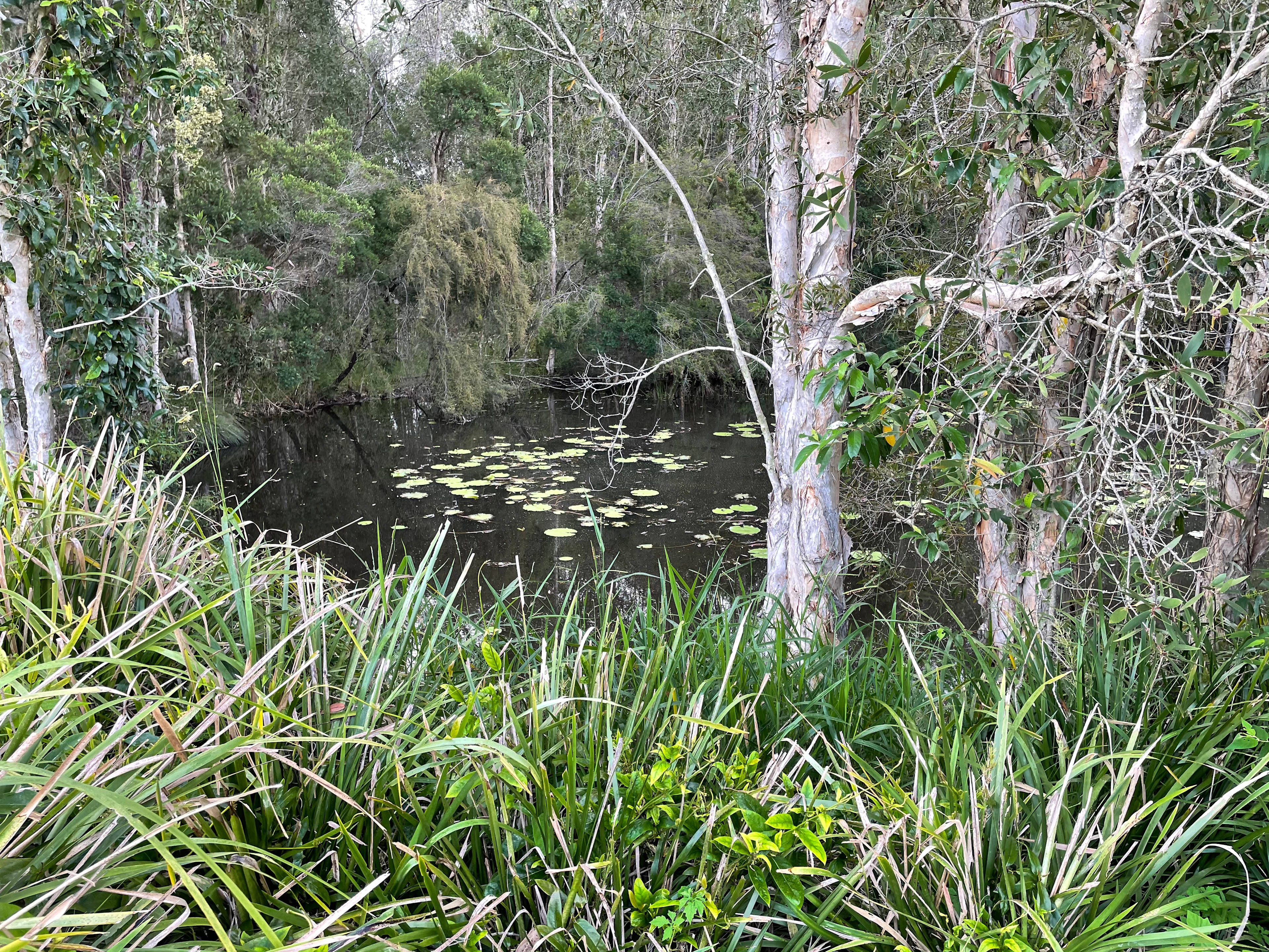 Elimbah - Caboolture