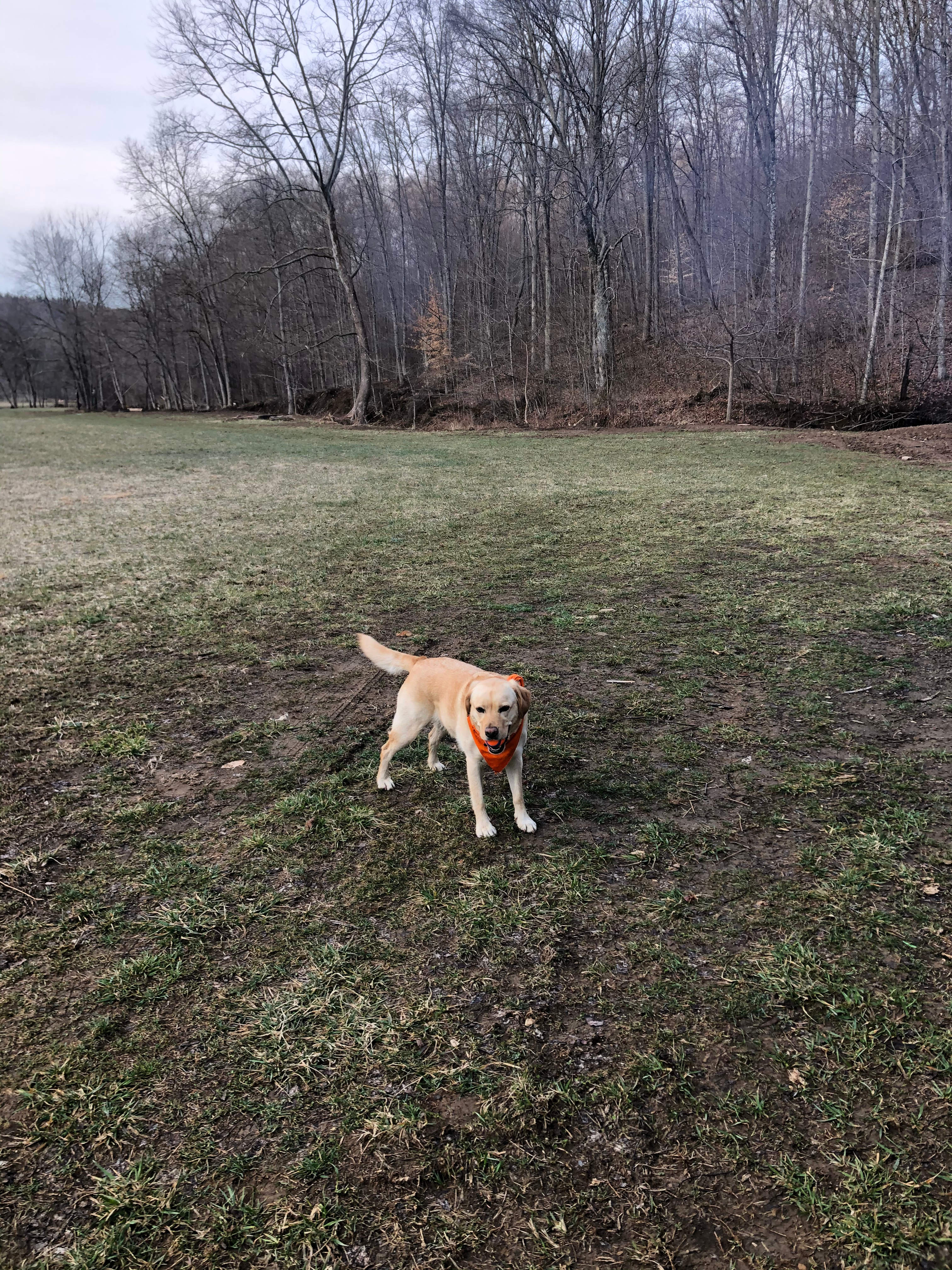 Wide open spaces are perfect for outdoor games of all kinds! Plus plenty of wooded area and hiking trails too!