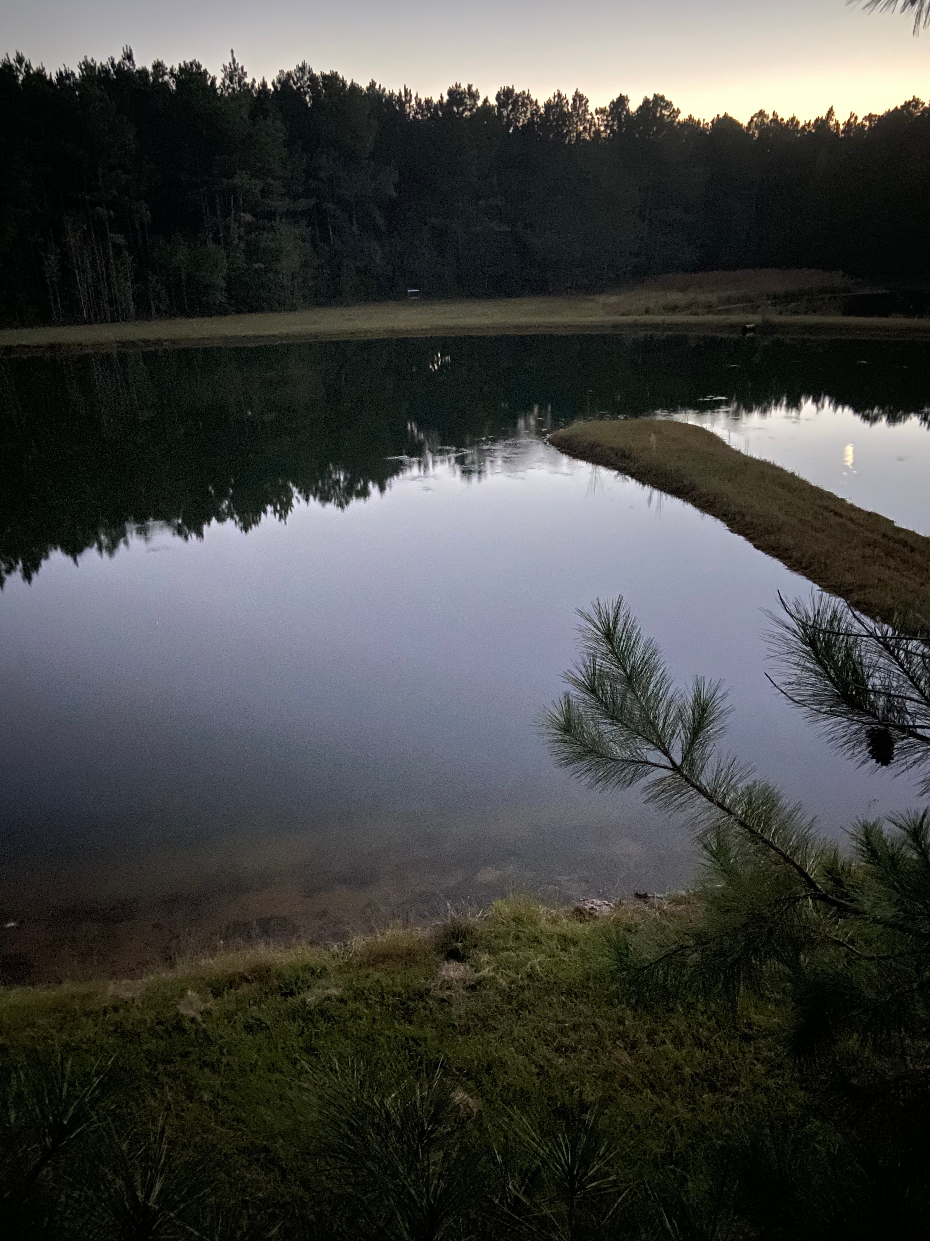 Still Creek preserve