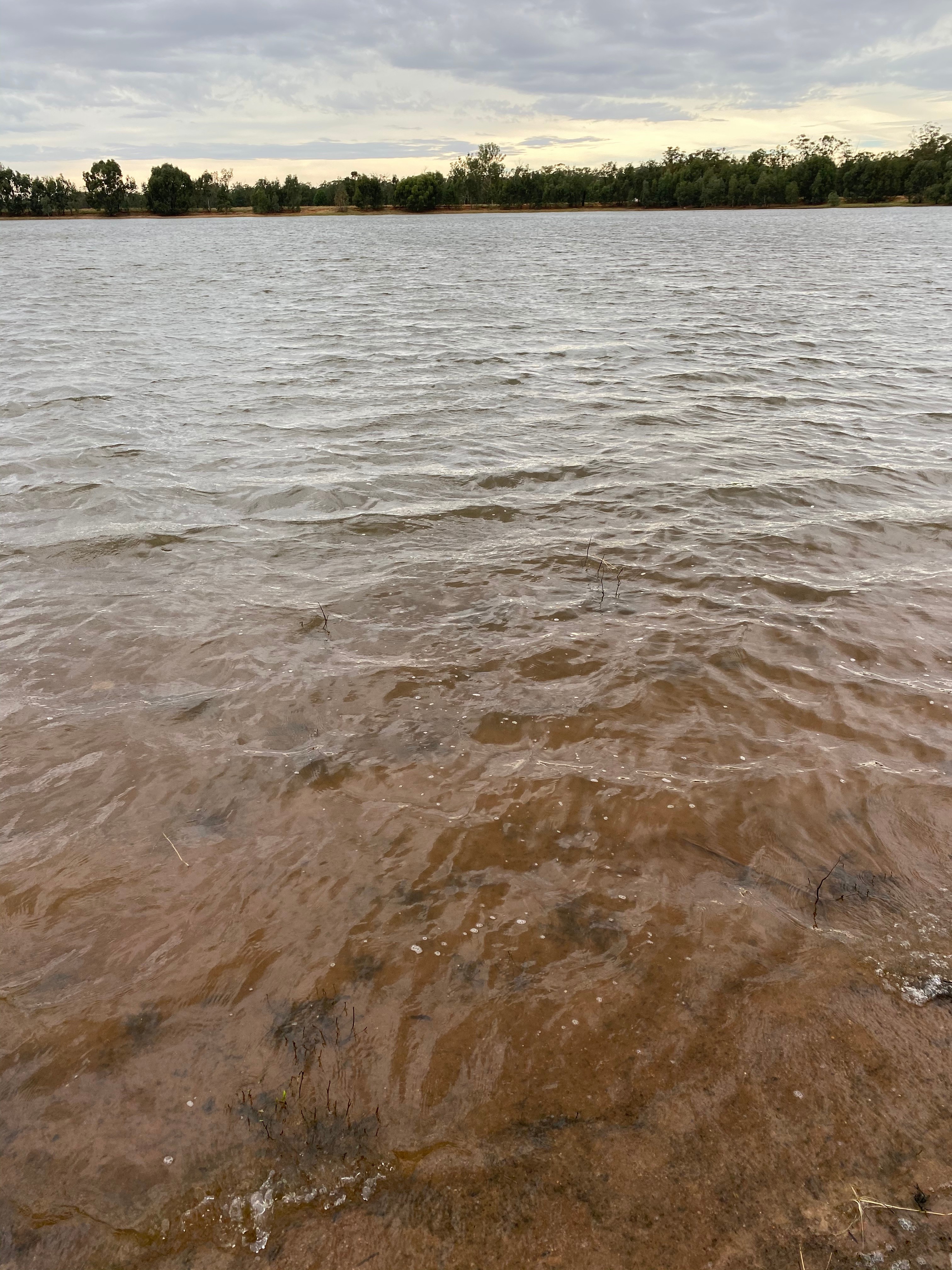 Mirrool Creek, Lake Abortree