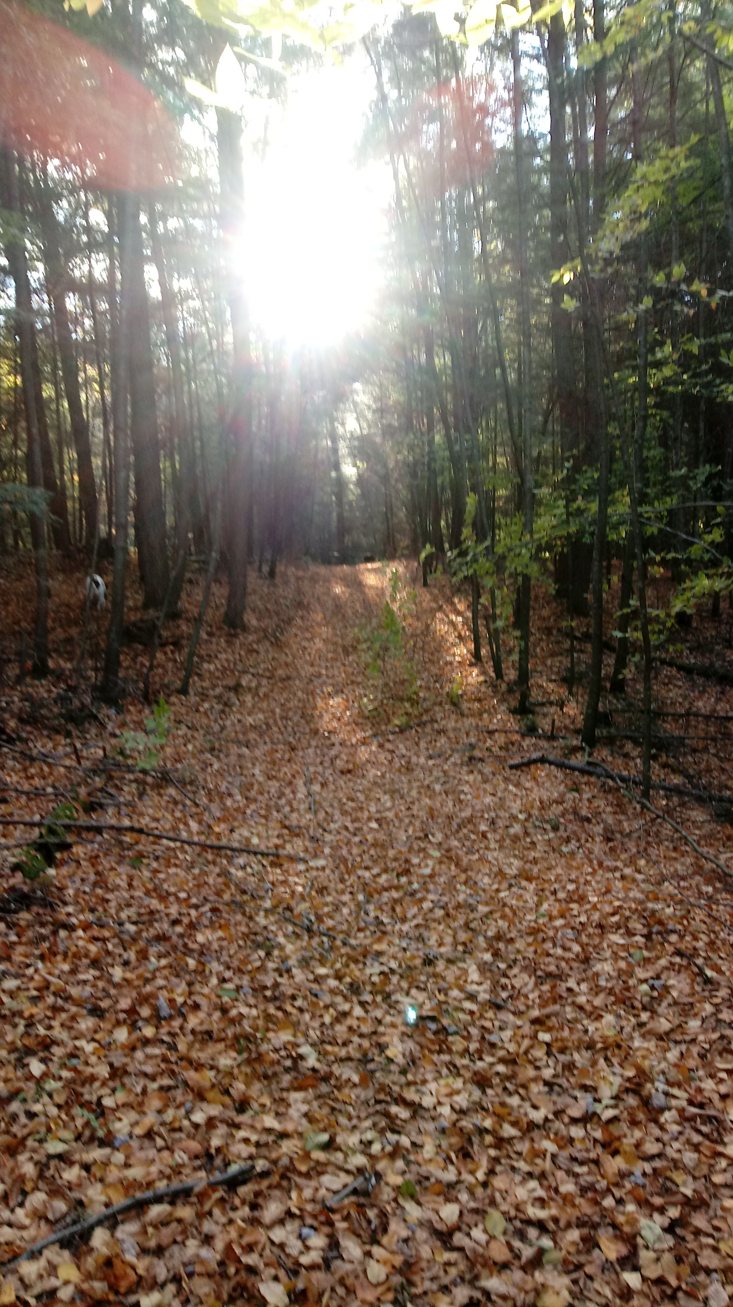 Fish house campsites