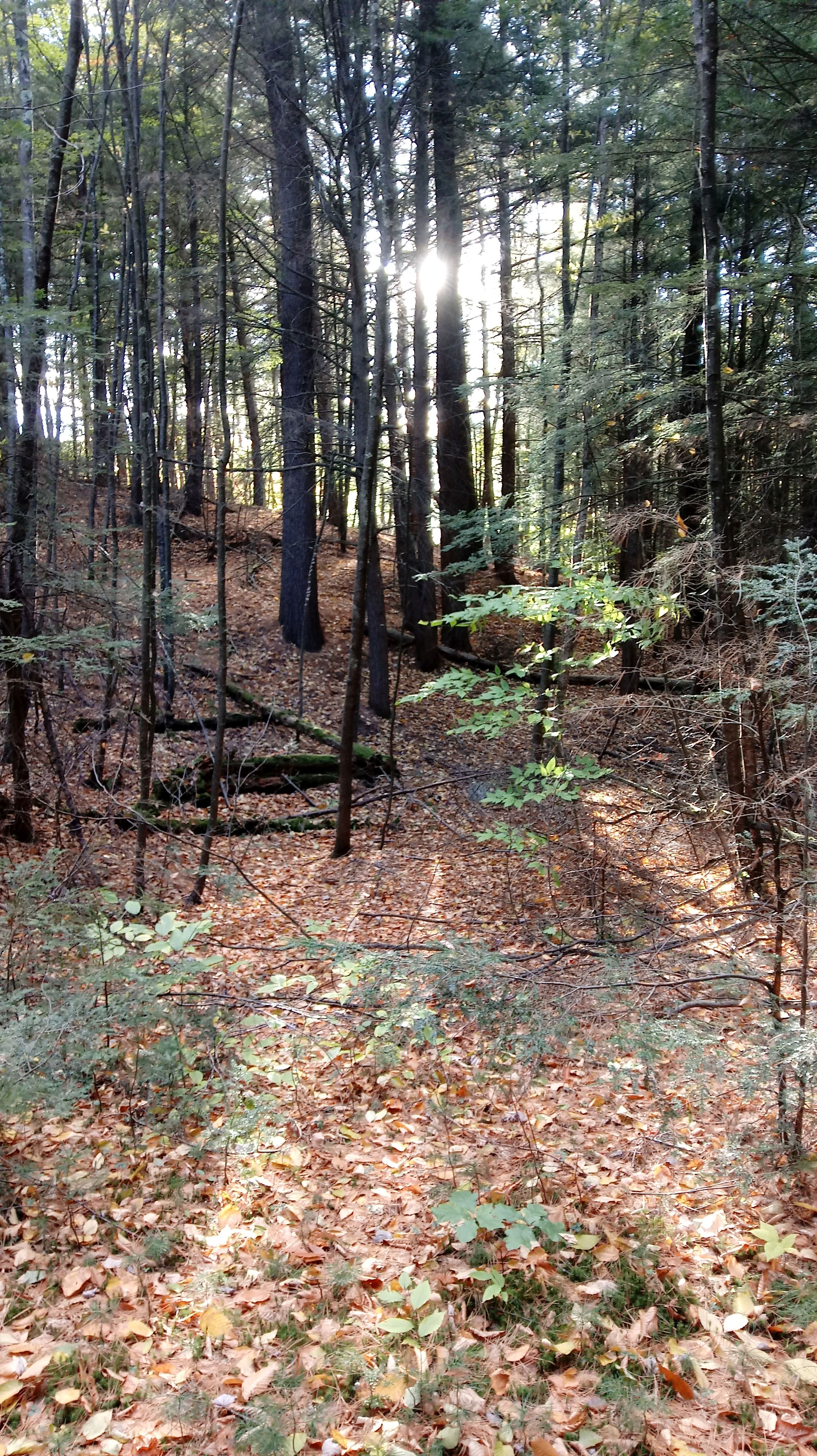 Fish house campsites