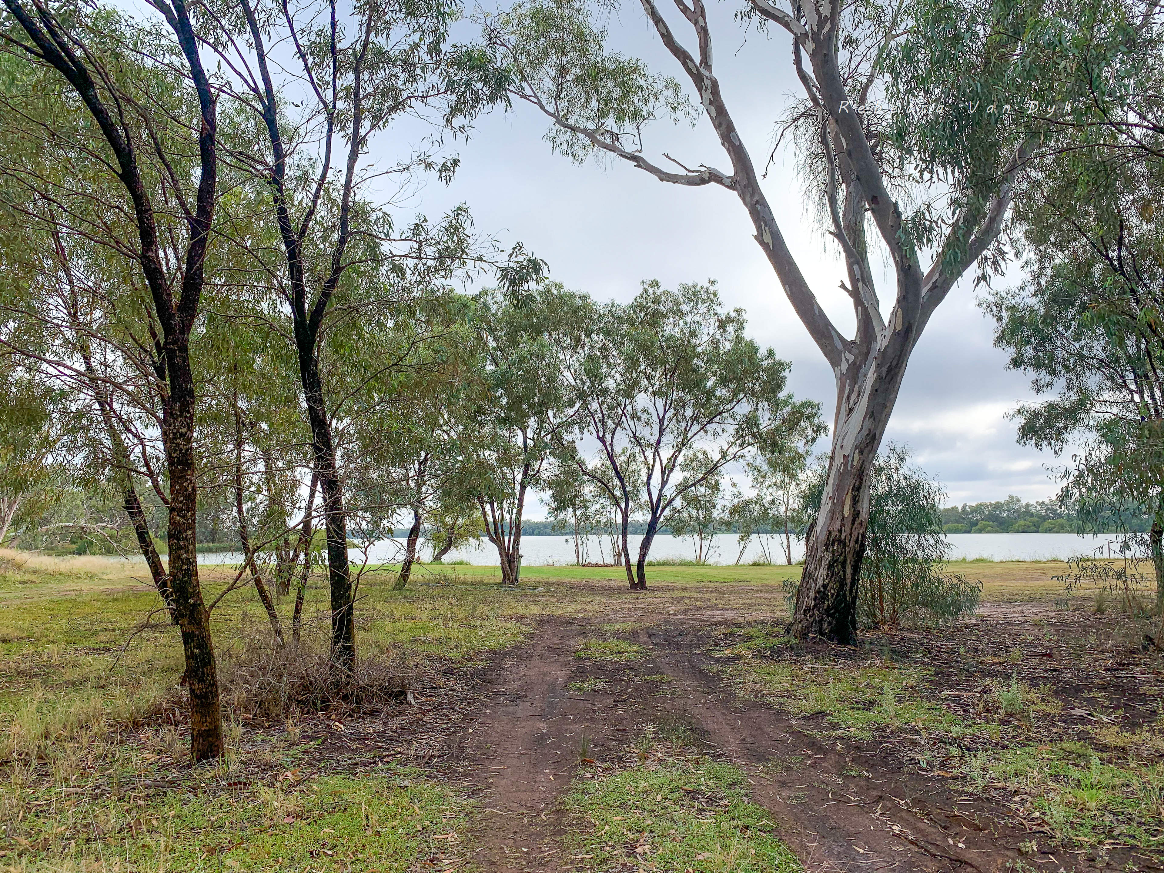 Curlew Camp - Birds & Fishing