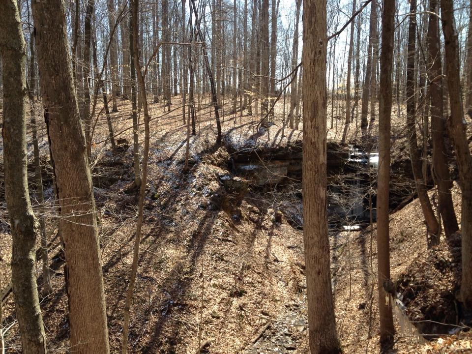 Martin H.’s Land