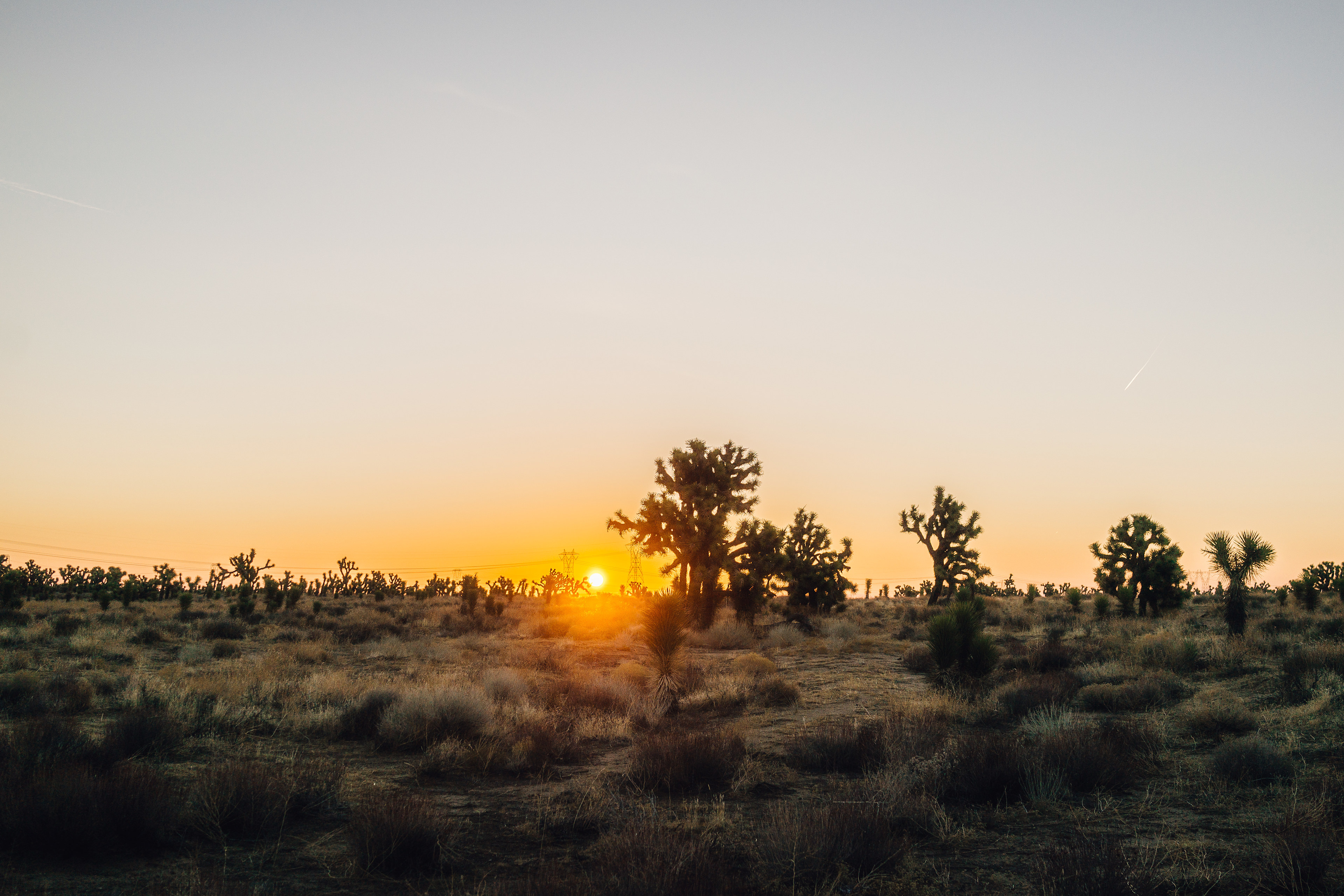 Sunrise was equally as lovely.