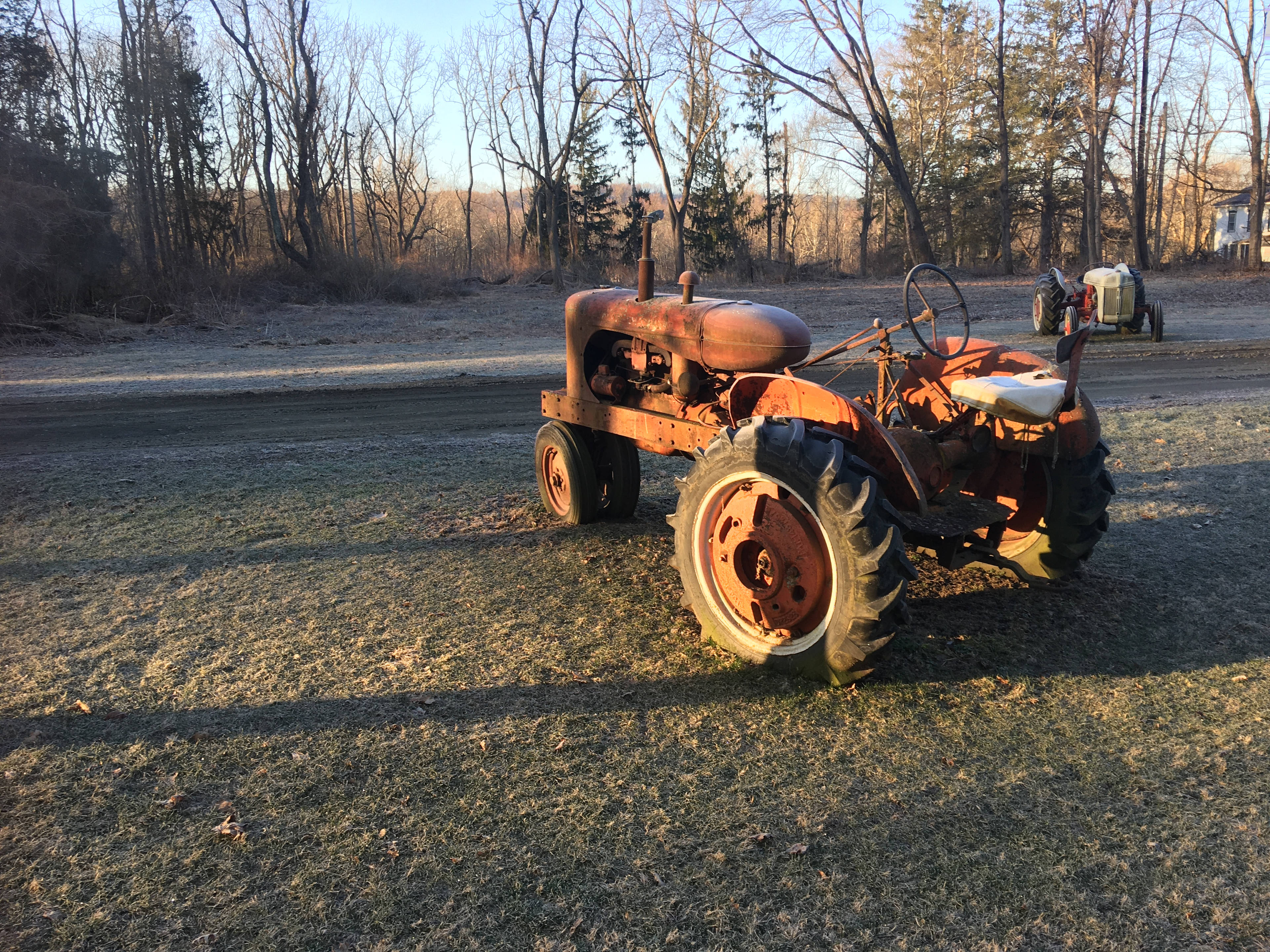 Wooded area with campsites