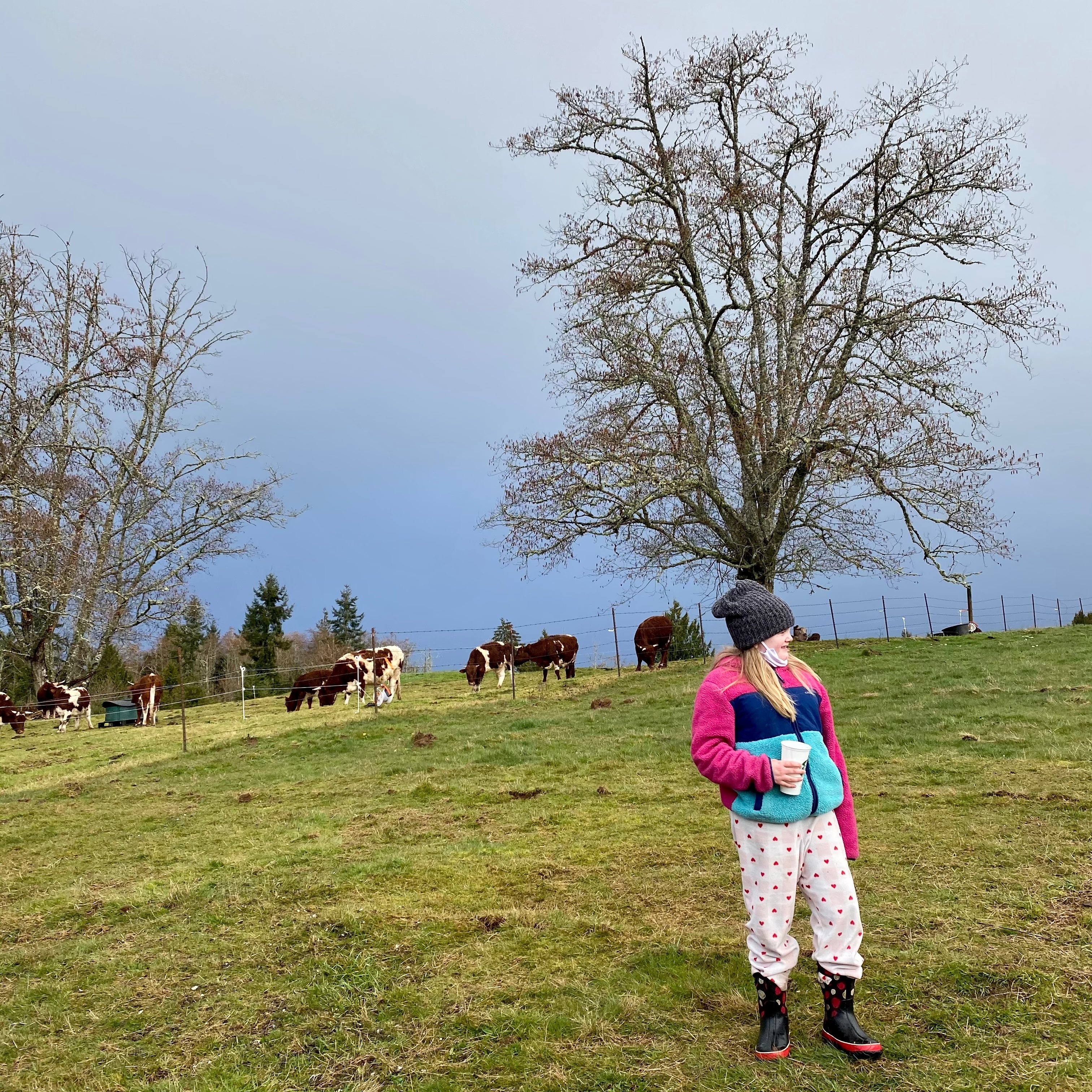 HolisticLifeFarm Clatskanie OR