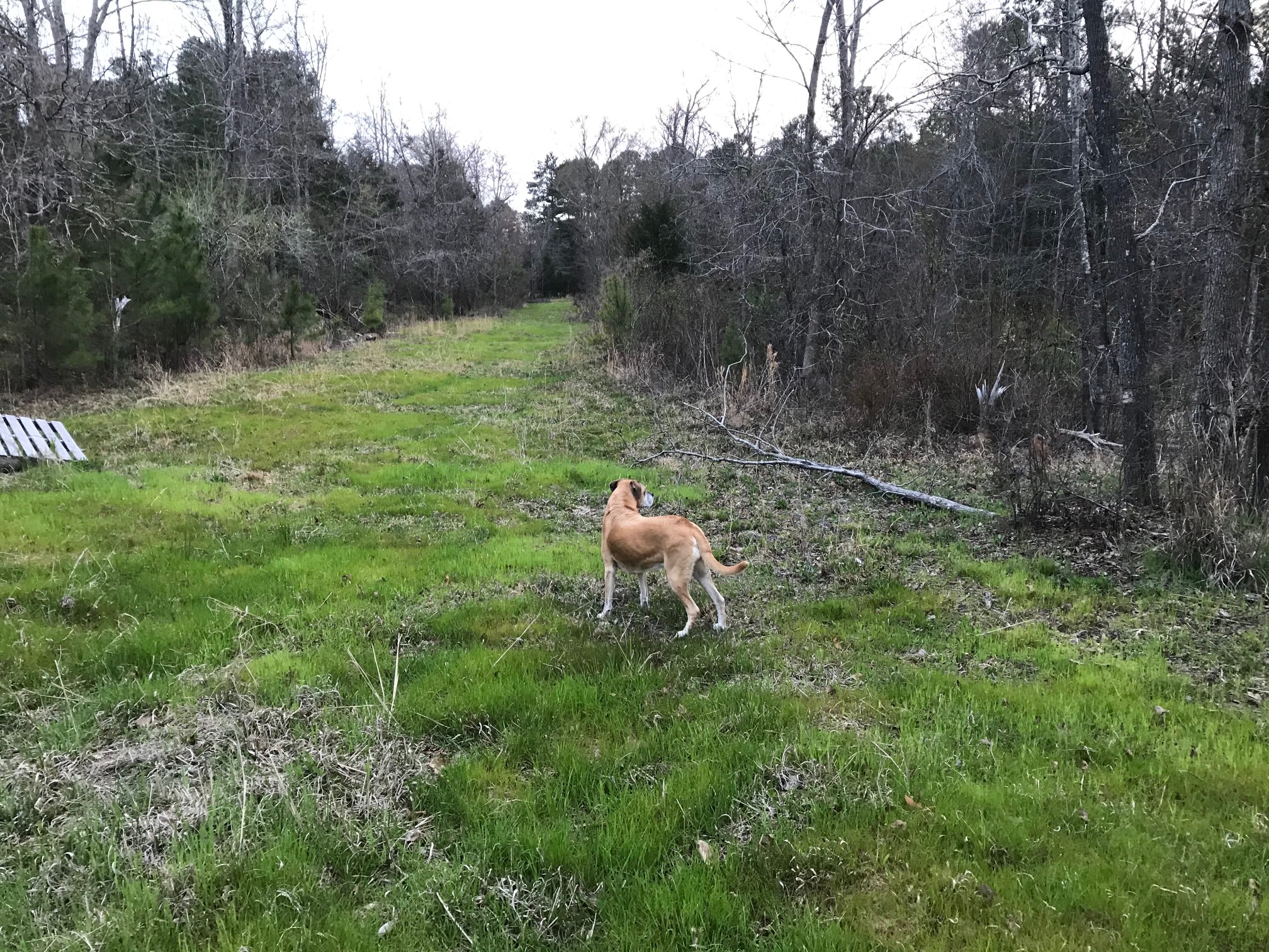 KALEIDOSCOPE FARM - Nature!