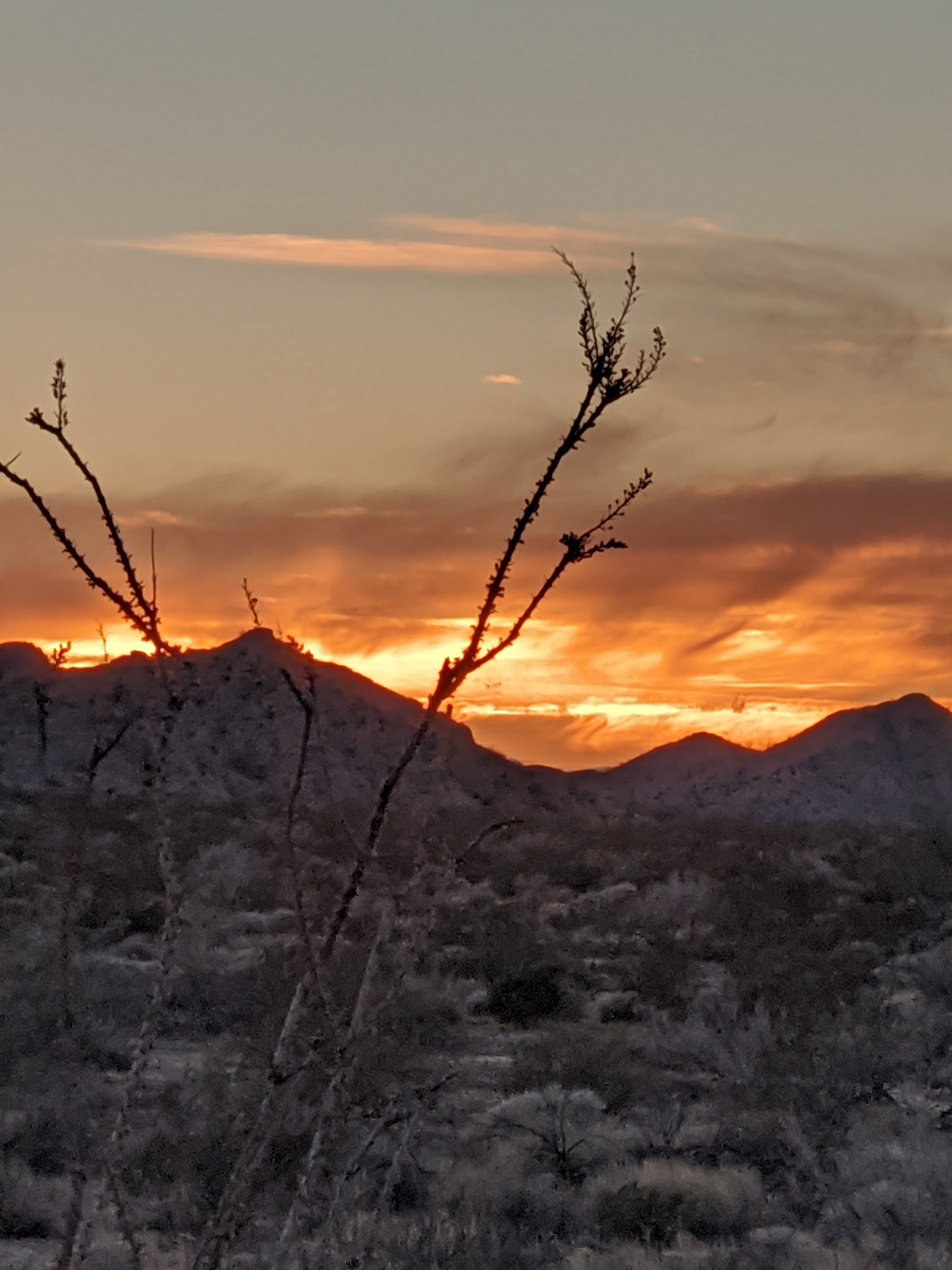Joshua Tree Private Campsite
