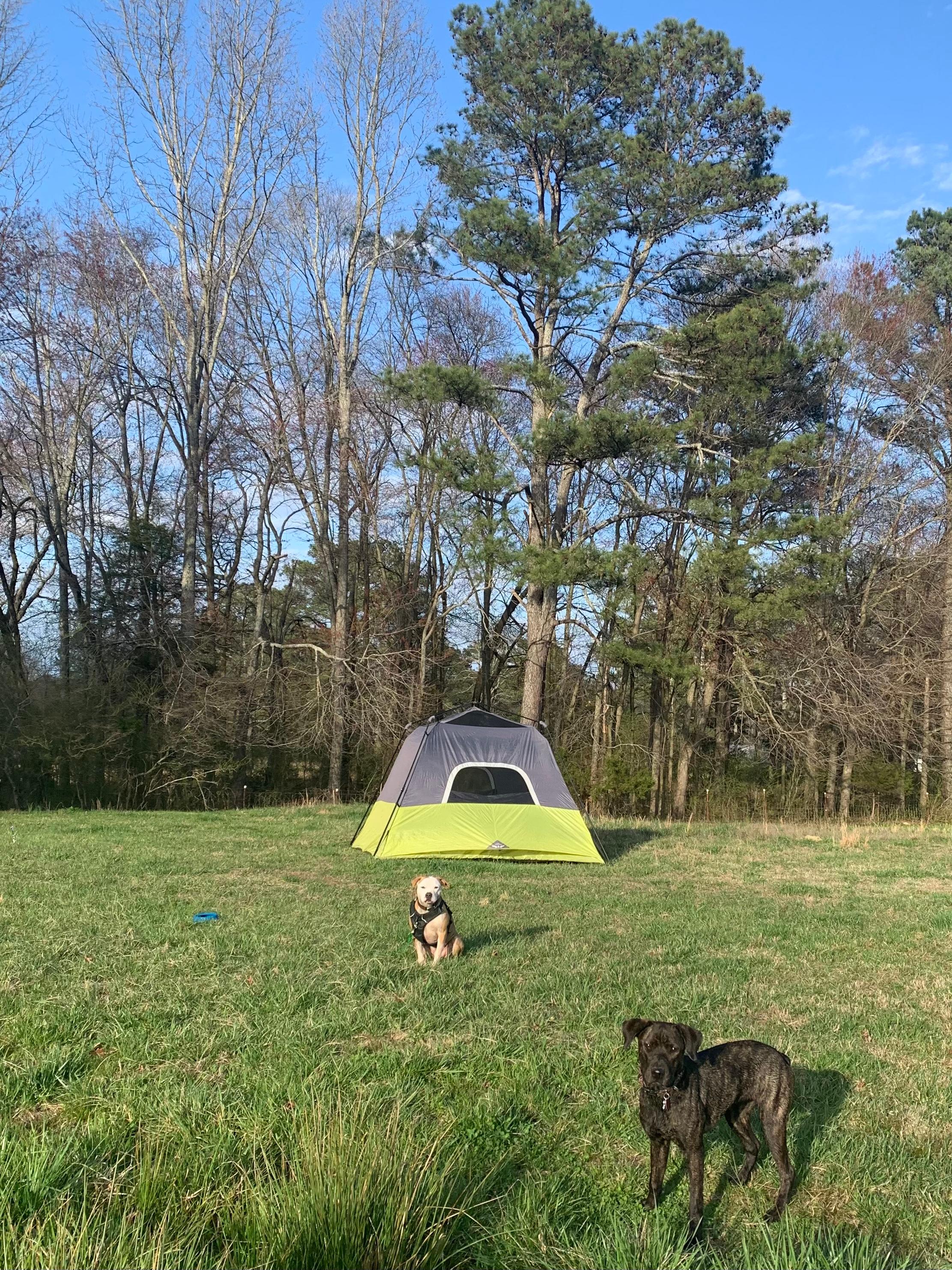 New Norm Farm Campgrounds