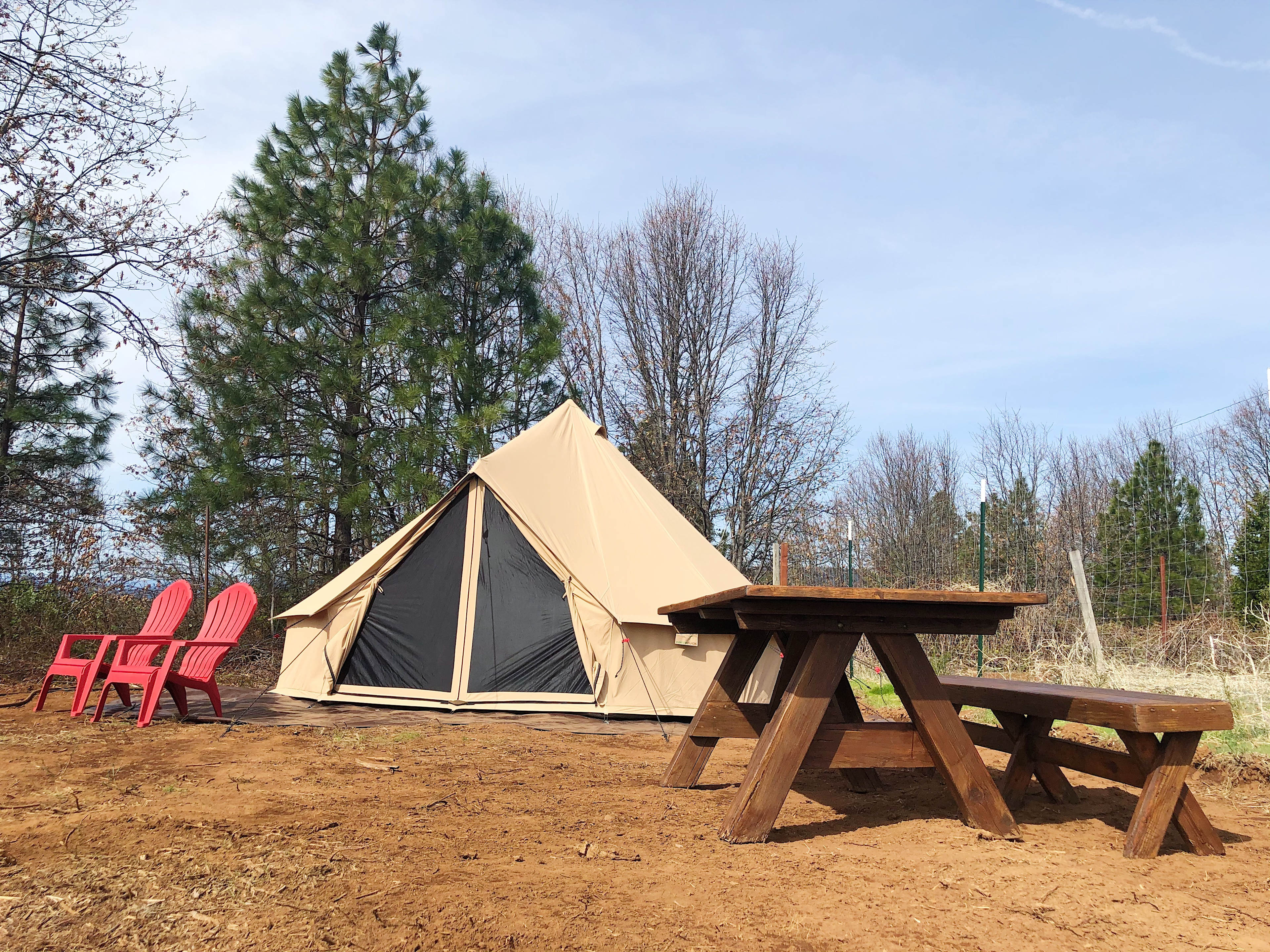 Stay in our yurt-style canvas tent with a queen bed in a private vineyard!