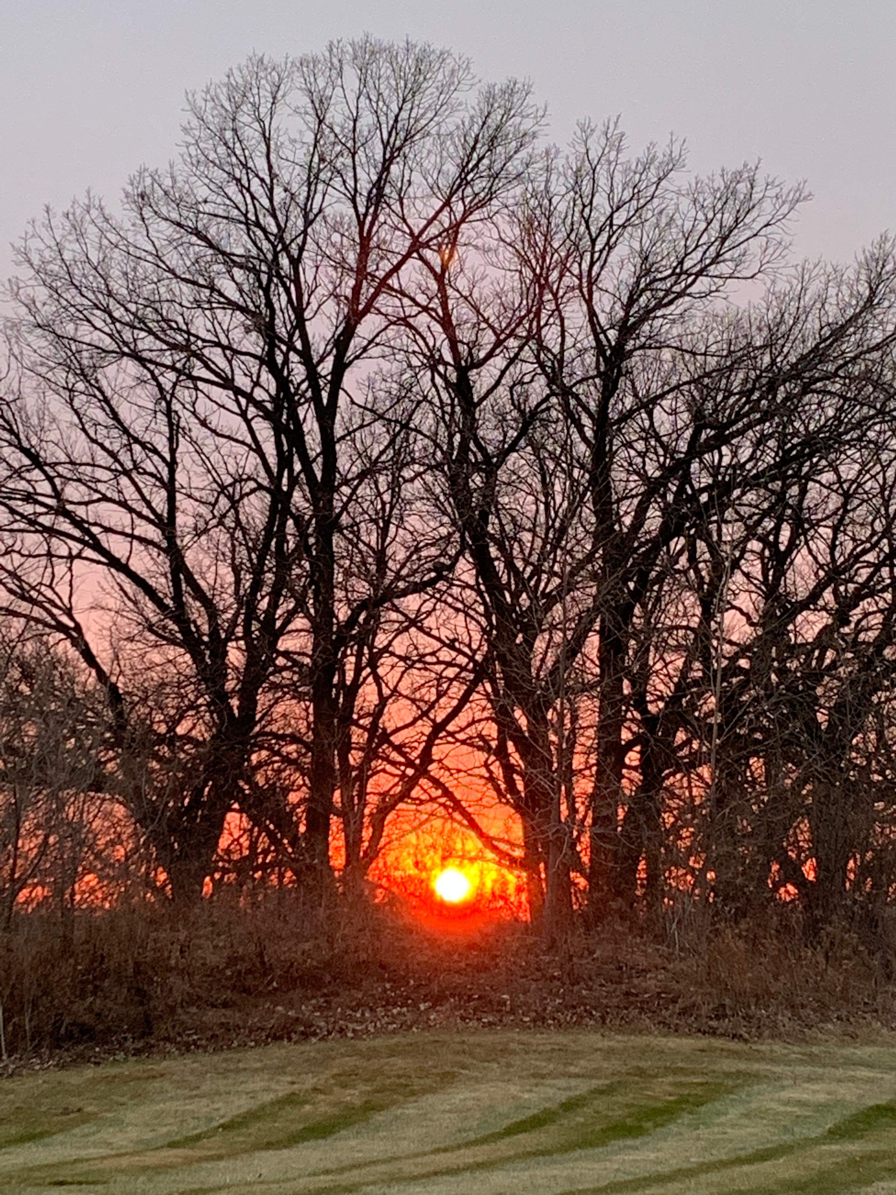 Misty B.’s Land