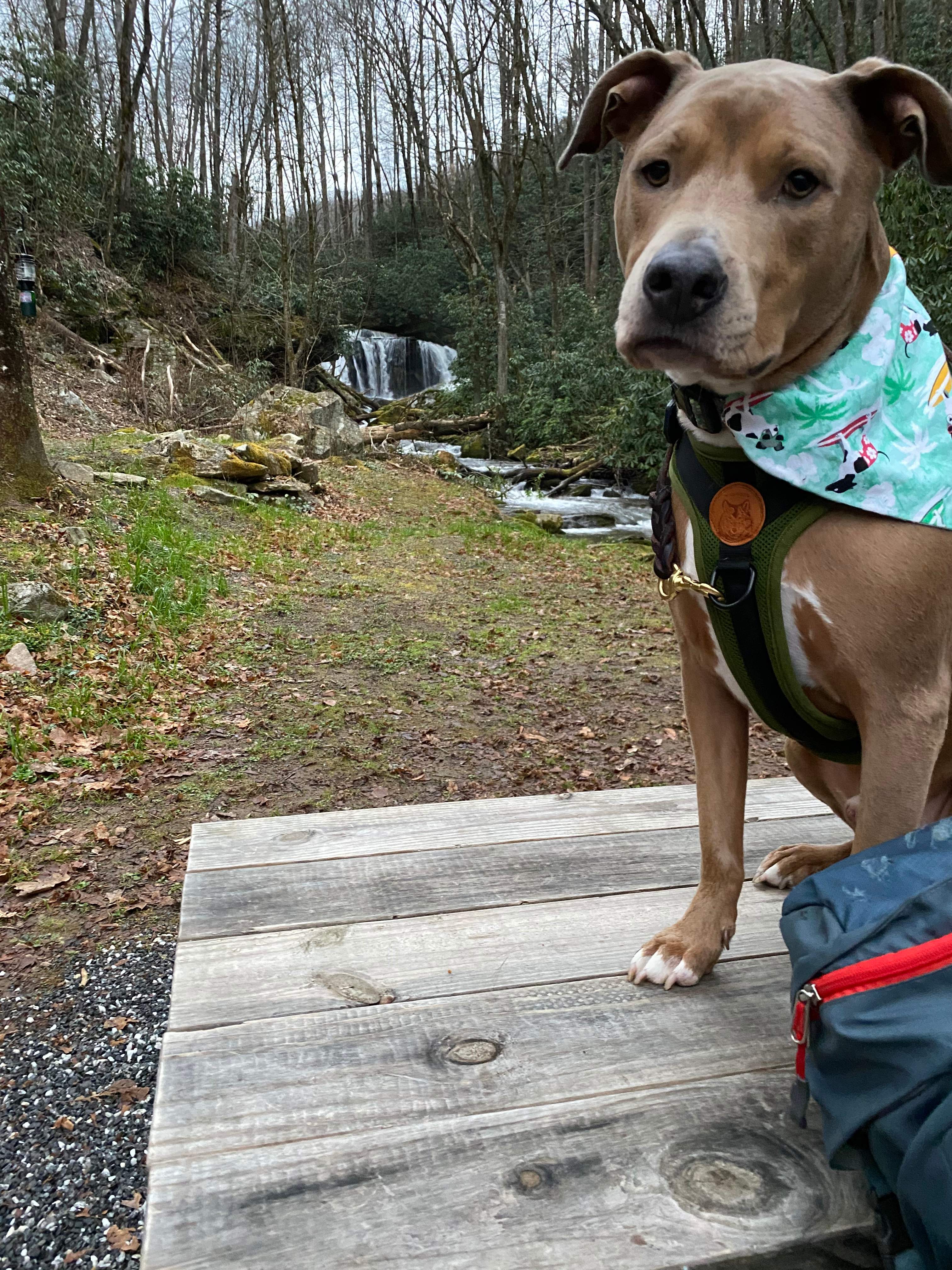 Cherokee Waterfall Campground